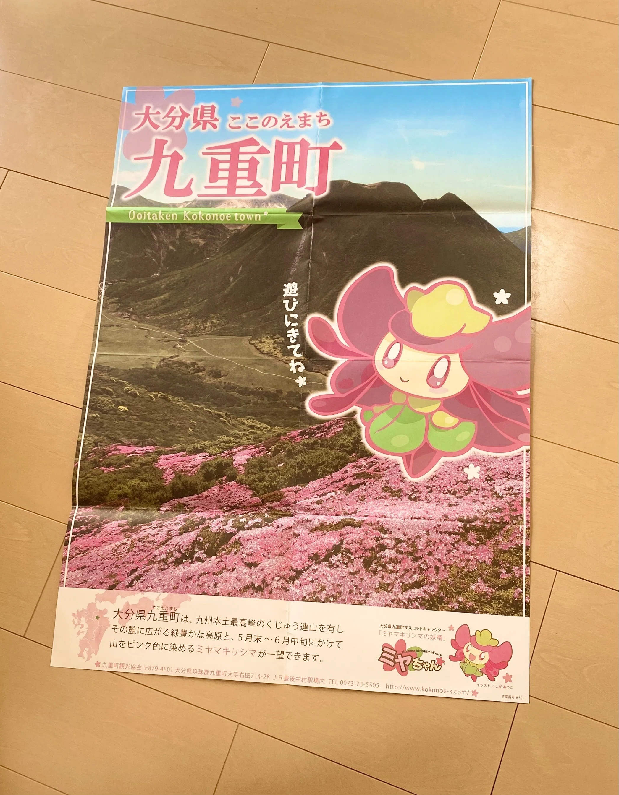 大分県九重町観光ポスターデザイン｜ソアデザイン