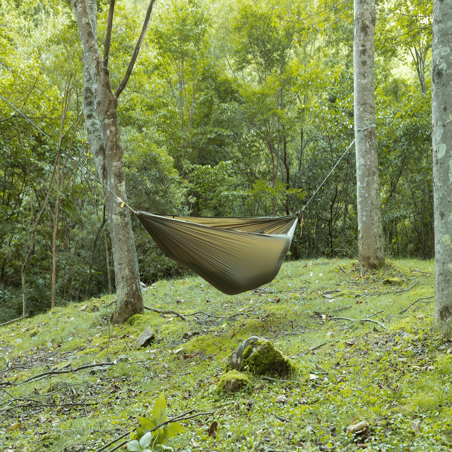 2025モデル moonlightgear JMW ハンモック JINDAIJI MOUNTAIN WORKS × Moonlightgear / Cloud Mesh Hammock