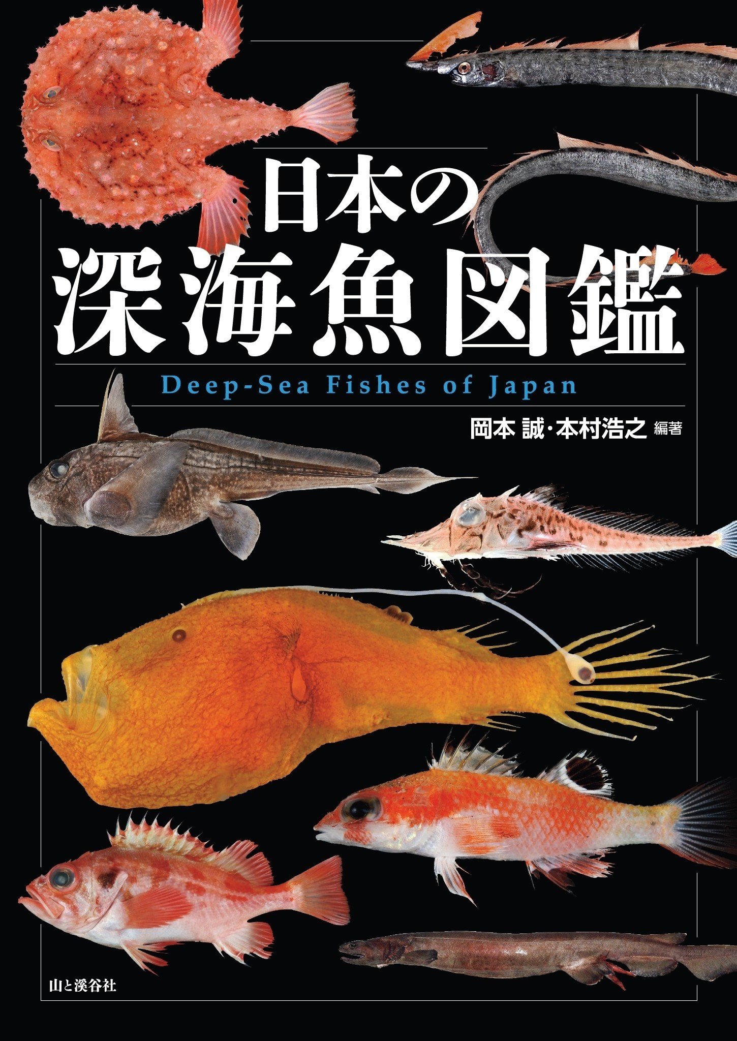 ヌーデンルード　深海魚 新刊のご案内【2024年12月発売】『日本の深海魚図鑑』など6冊