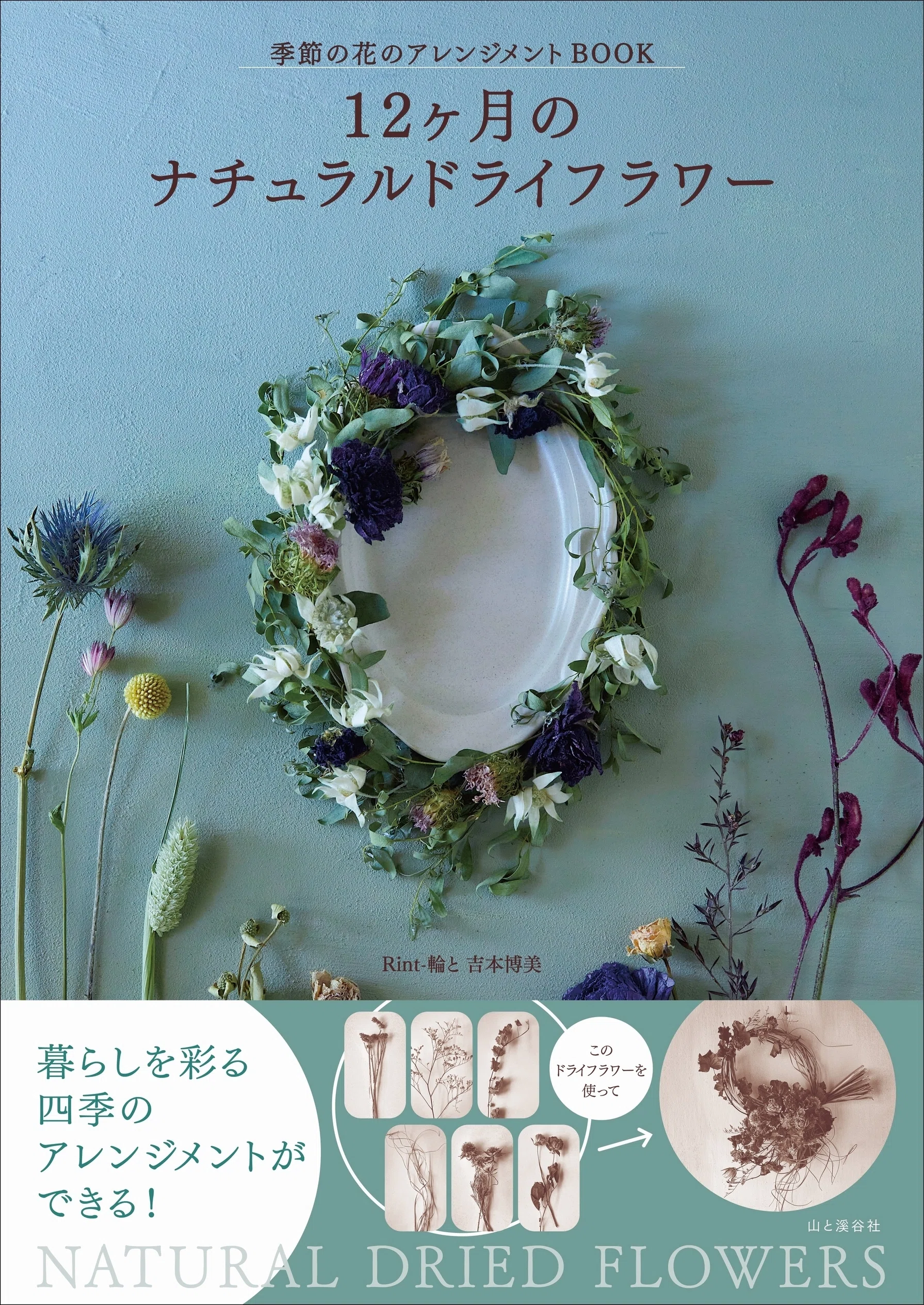 新刊のご案内【2024年12月発売】『日本の深海魚図鑑』など6冊