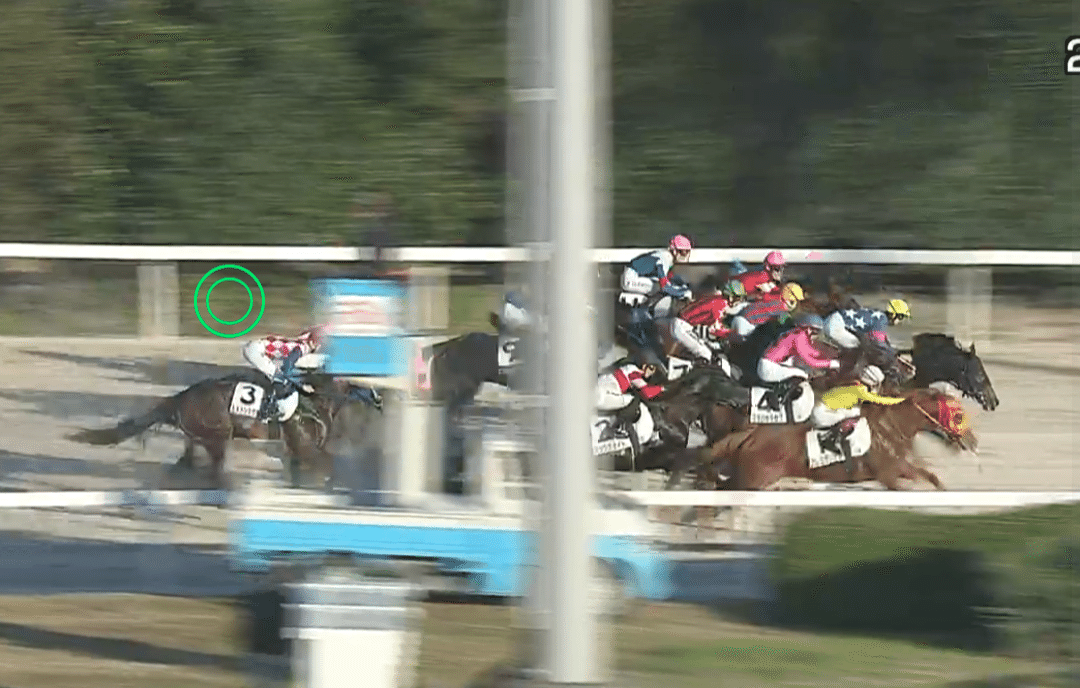 12月1日 大井競馬｜トムミラー@競馬道