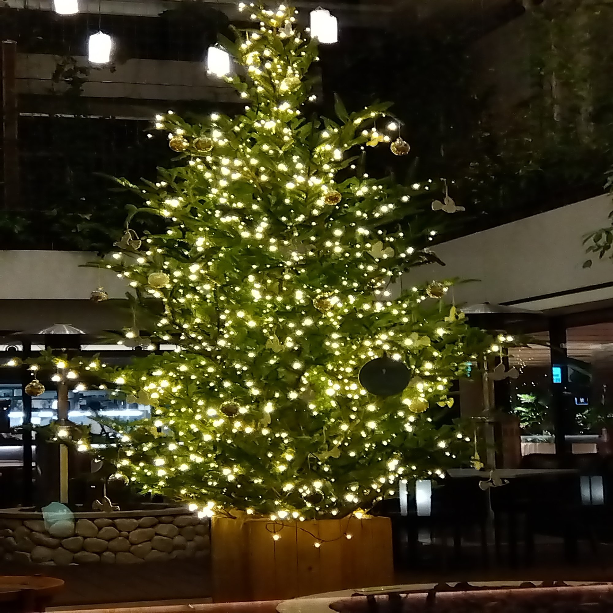 Modern Graphic Christmas Card High-Res Vector Graphic - Getty Images, image size:1500x2000