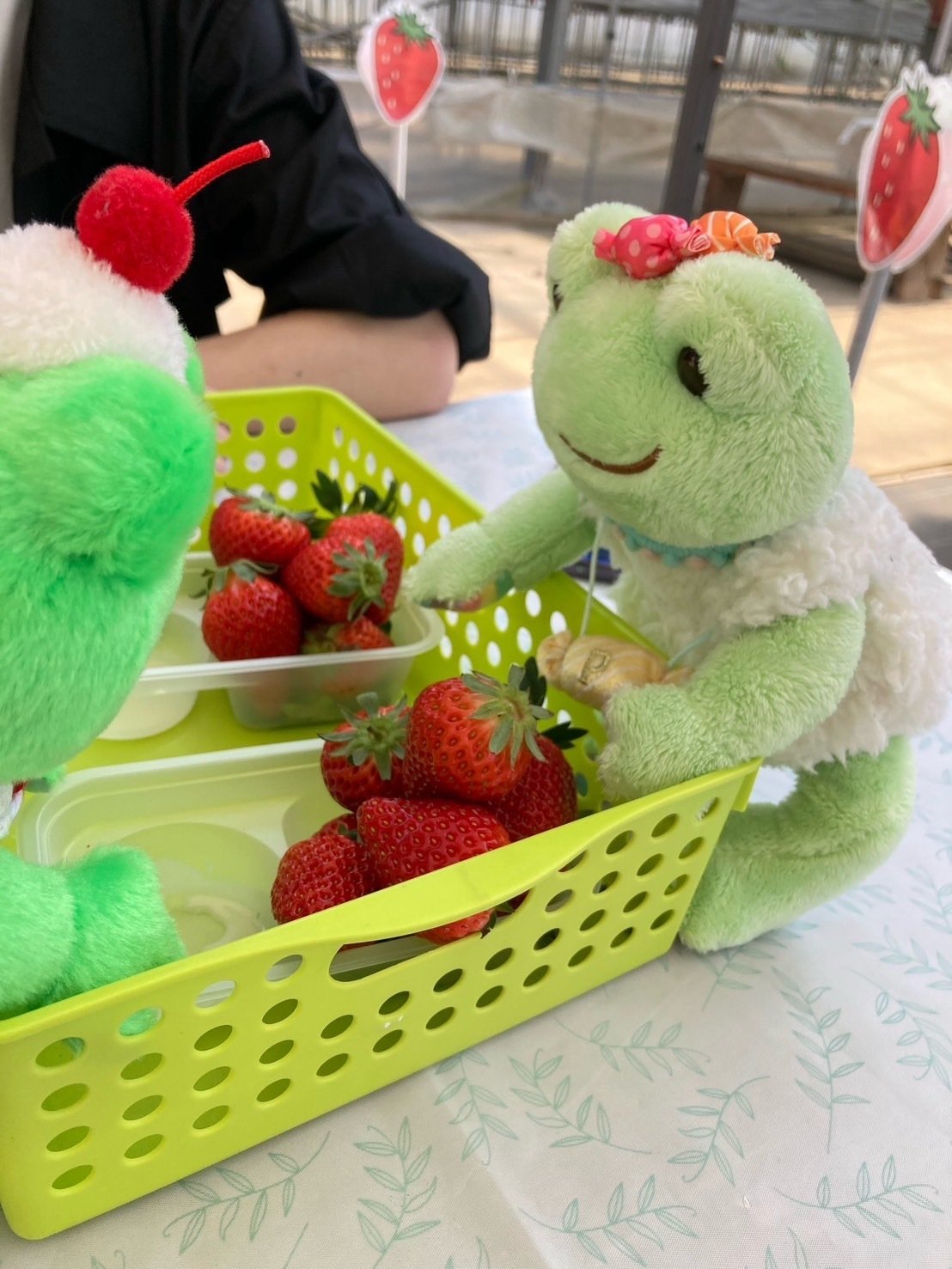 かえるのピクルスでQOLをあげよう｜ましろ