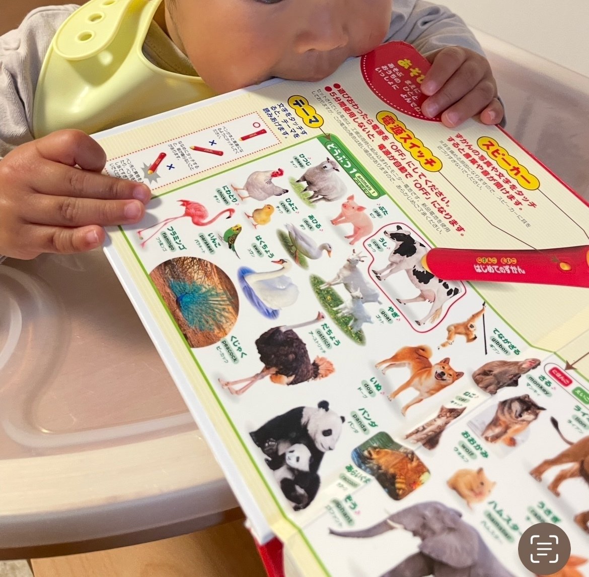 知育セット！幼児期はこれで十分