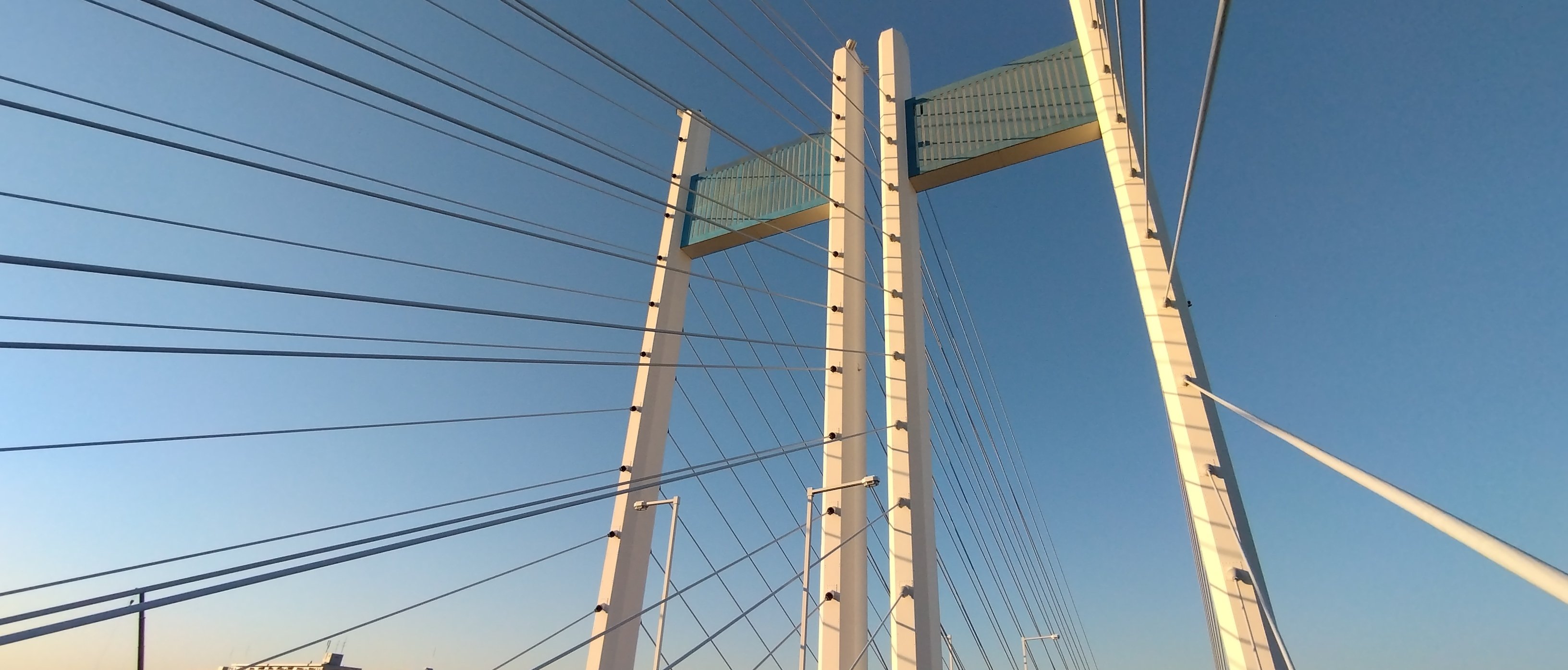 ウマ娘 新時代の扉】2001年ジャパンカップと同日時にアグネスタキオン