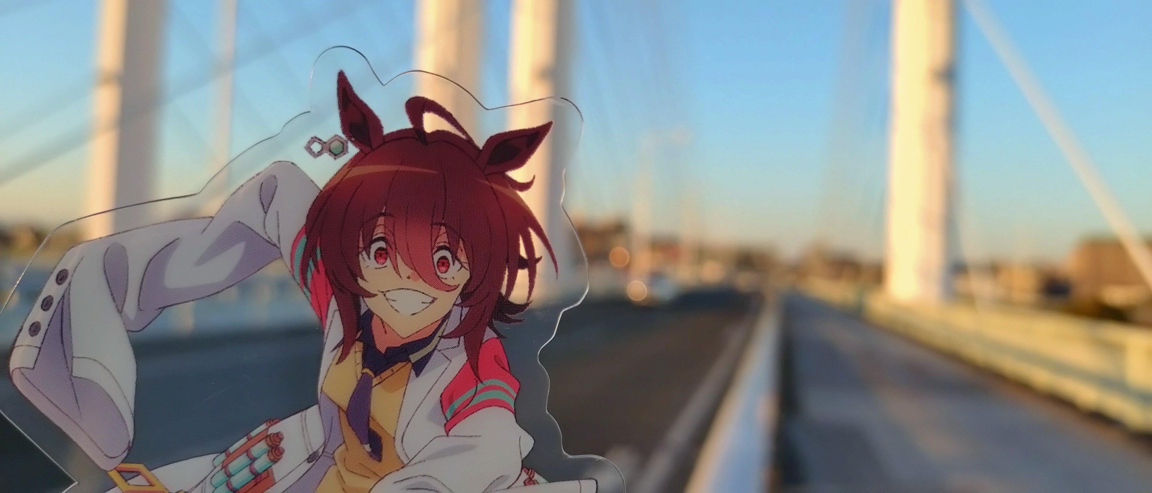 【ウマ娘 新時代の扉】2001年ジャパンカップ 単勝馬券 １着－４着 ウマ娘 新時代の扉】2001年ジャパンカップ 単勝馬券 1着－4着