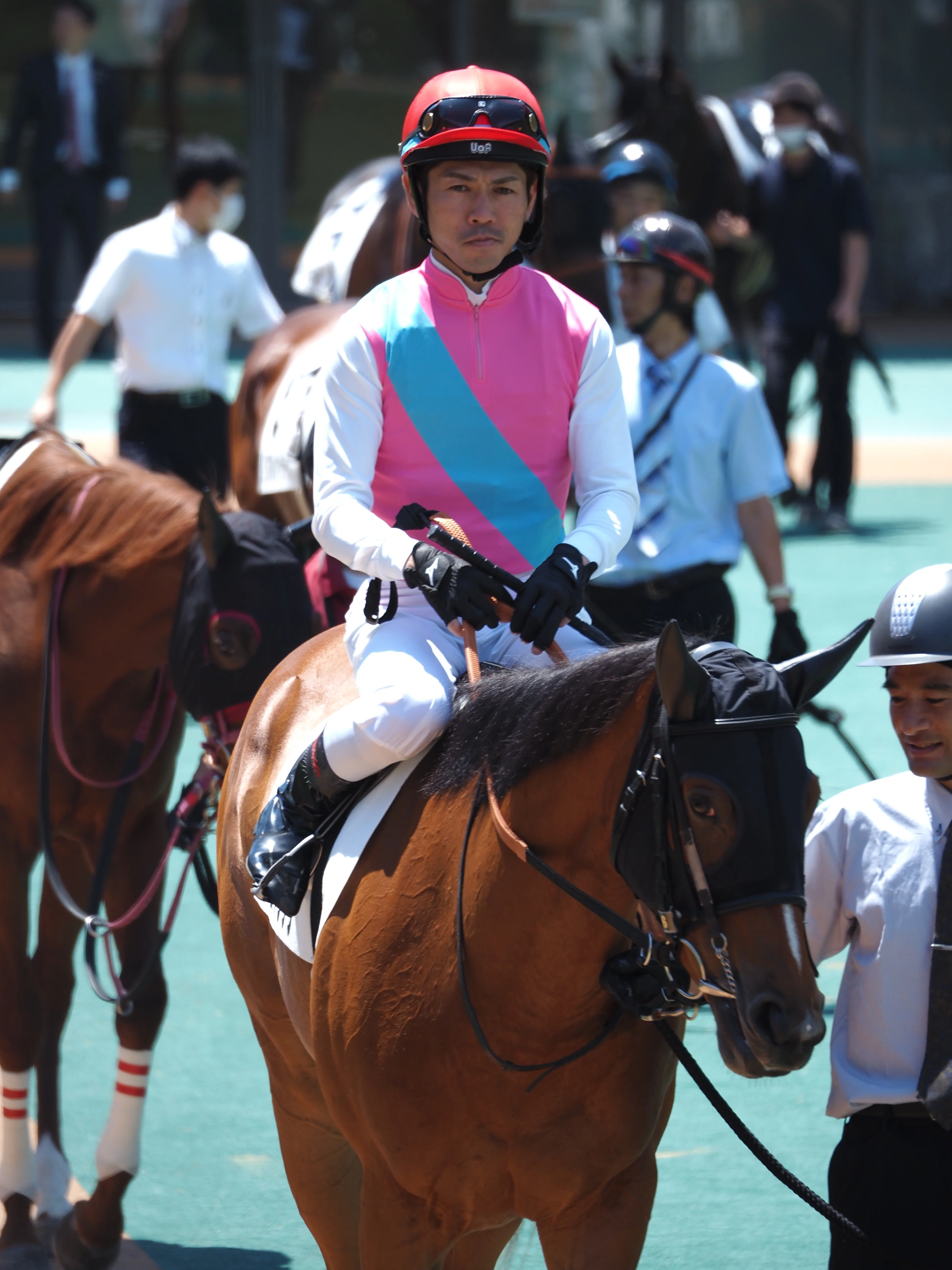 写真で振り返る応援馬｜Max