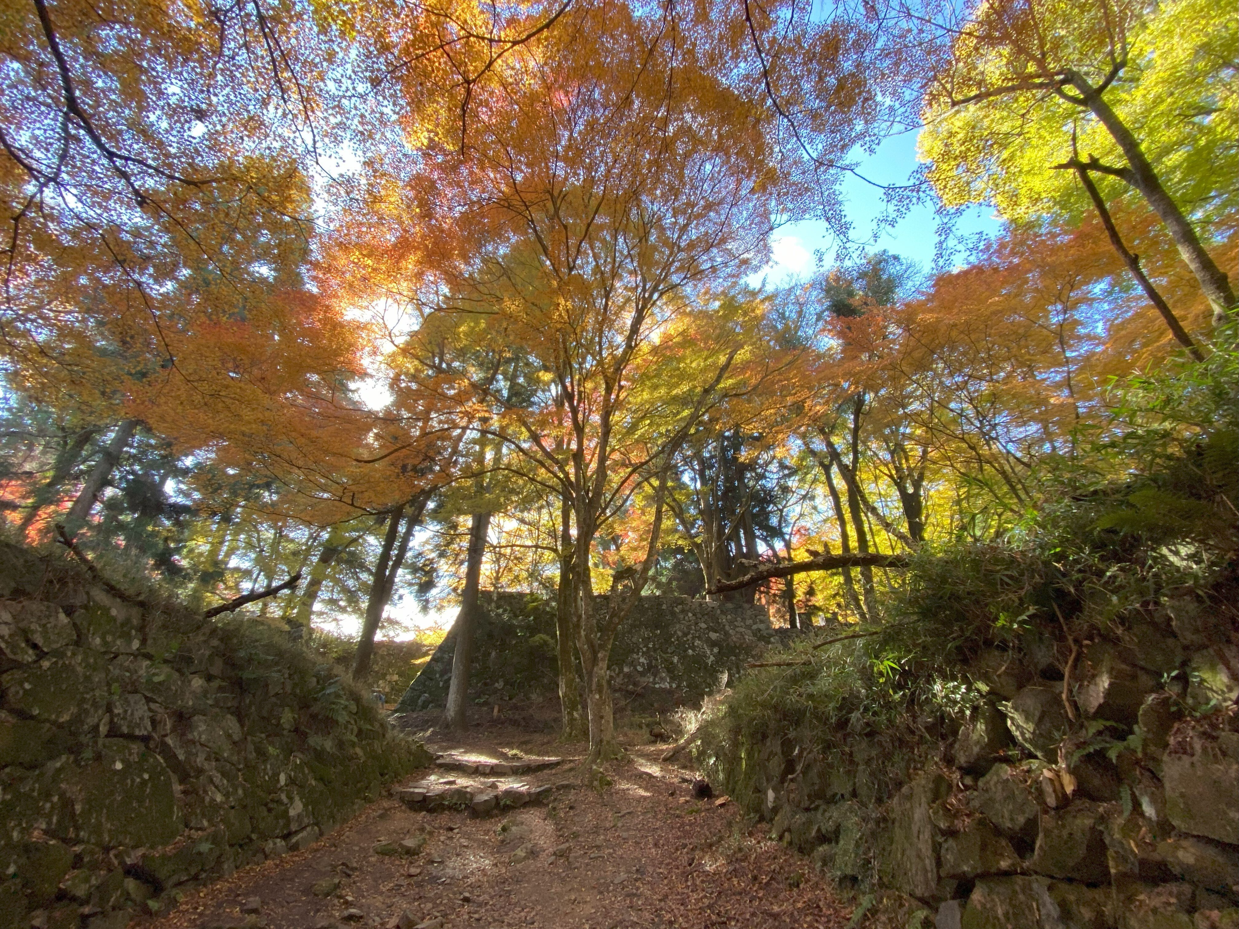 残る紅葉～日本一の山城「大和高取城」｜高坂正澄