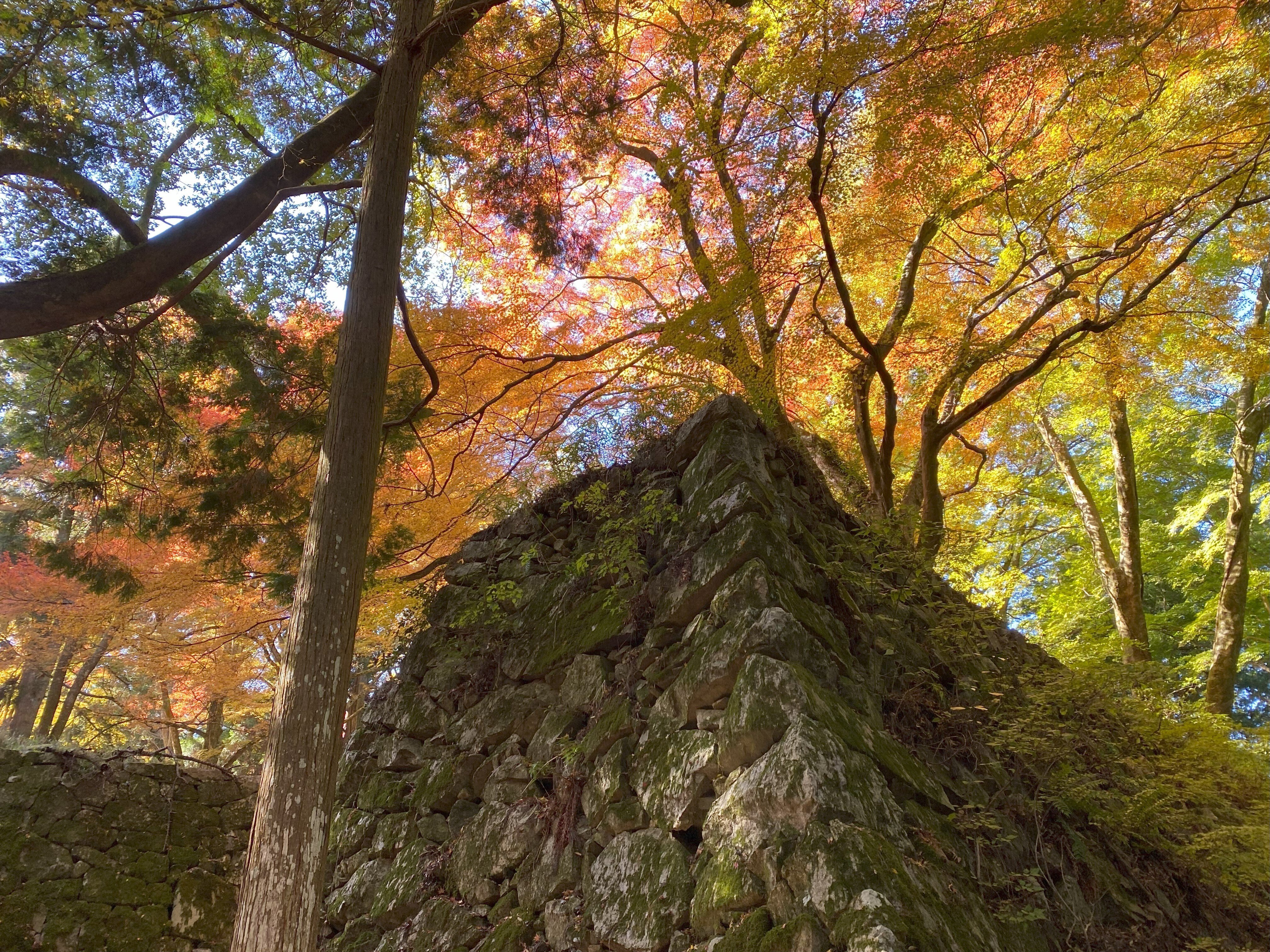 残る紅葉～日本一の山城「大和高取城」｜高坂正澄