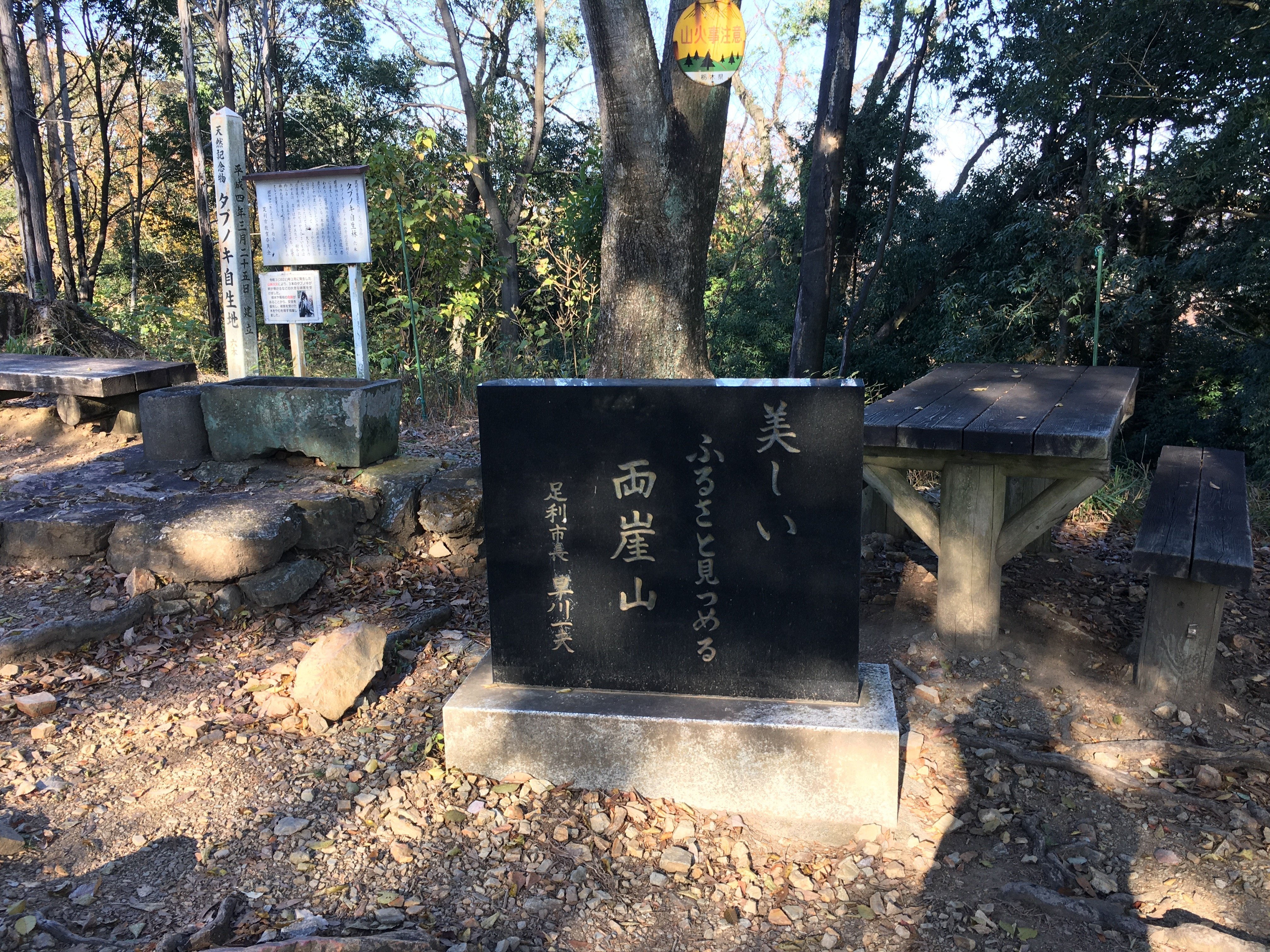 空山の額 〜貝殻で岩に立つ虎を表現している。値下げ