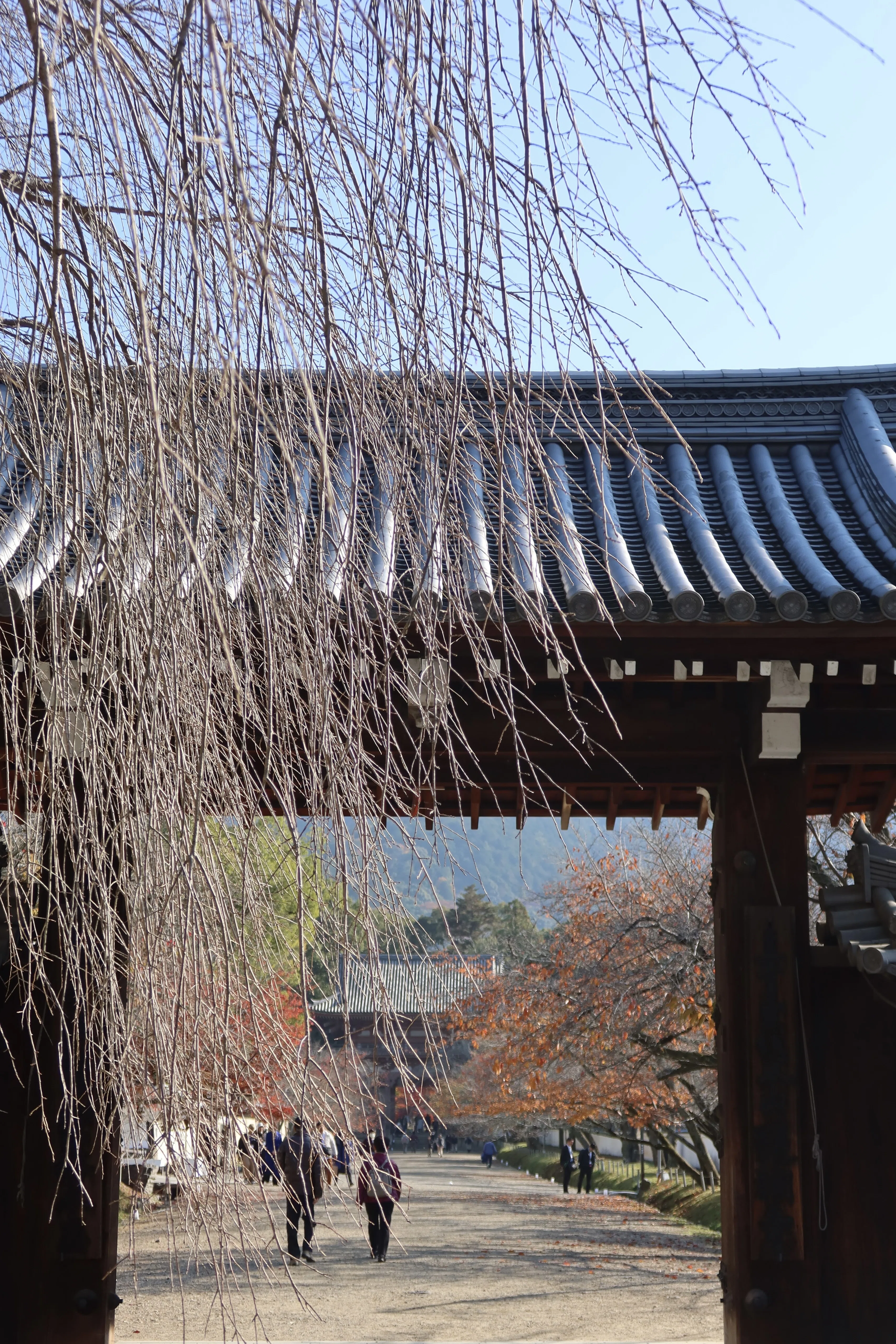 西国三十三所観音巡礼 【 深雪山 上醍醐 准胝堂 （醍醐寺）】京都