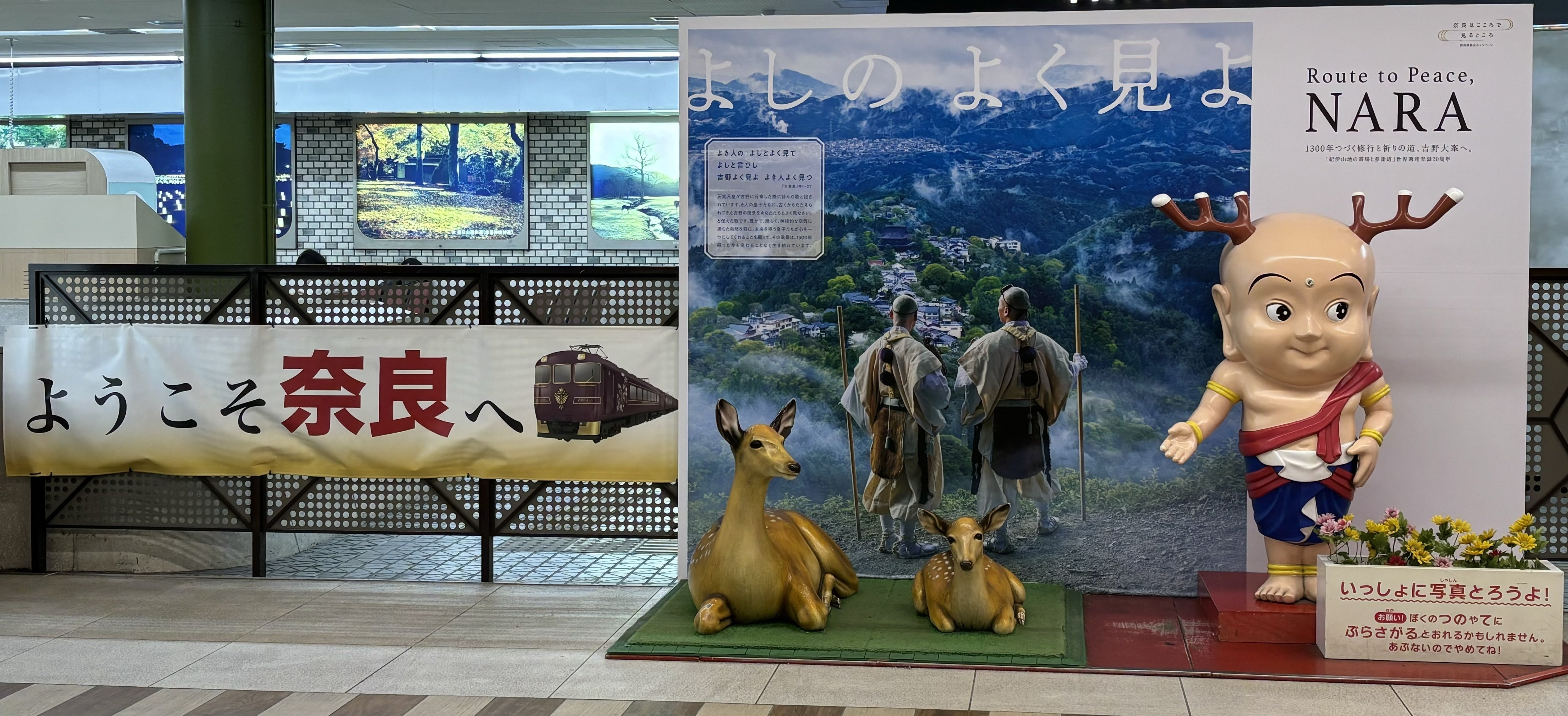 ディープな奈良を探す旅（24年11月）｜吉野山のくま