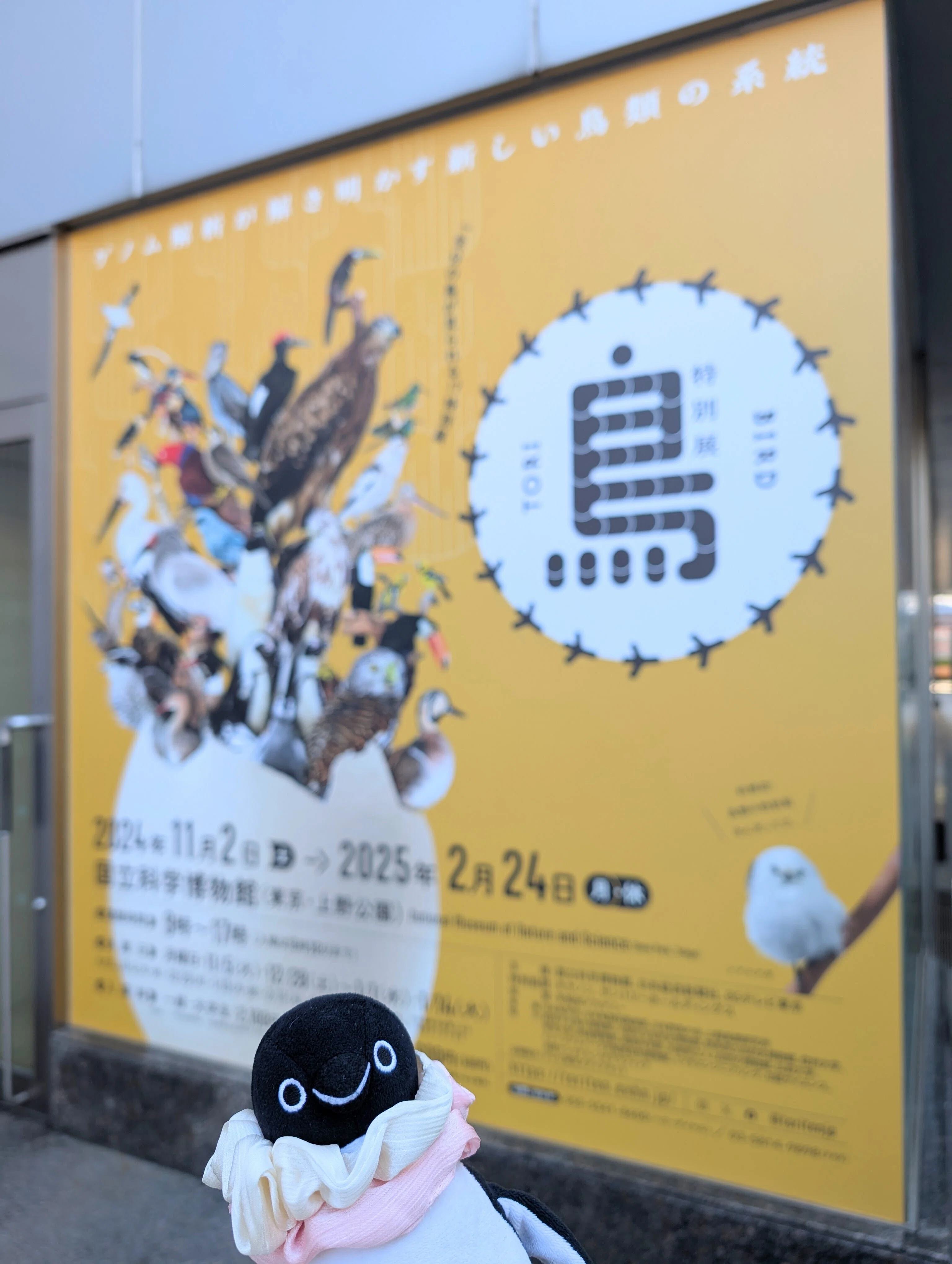 鳥展へ ヒビノオト2024.12.3｜オオシマイズミ