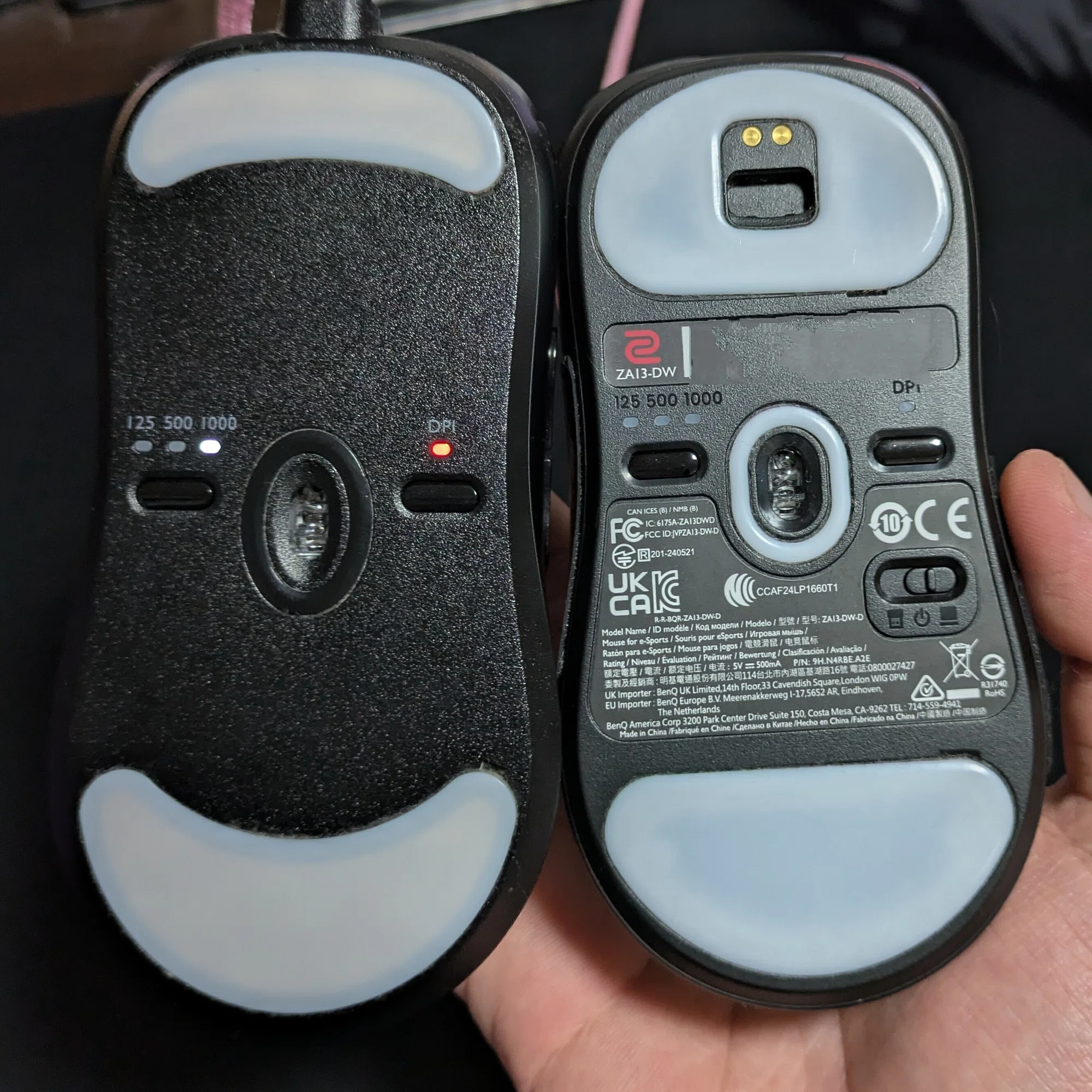 Comparison Review of ZA13-DW and ZA13-C｜?Nekoji?