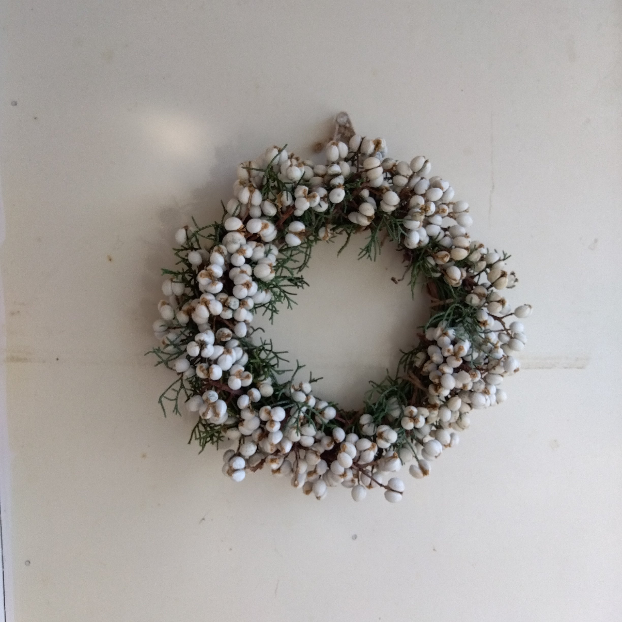 ナンキンハゼのリースを作ってみた｜こころ、ここに花。