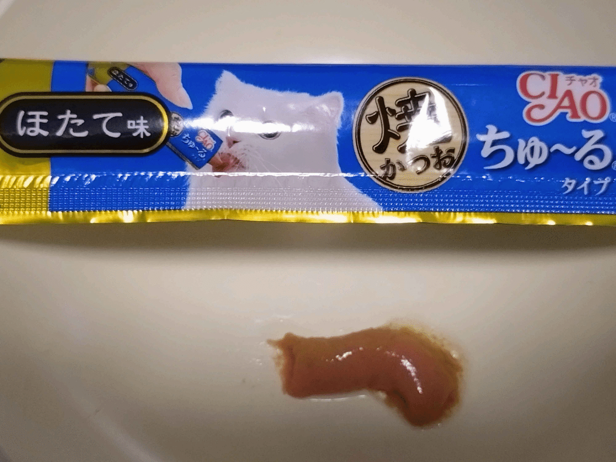 ネーミングドラゴン 大切なあなたへ プレゼント 贈り物などに