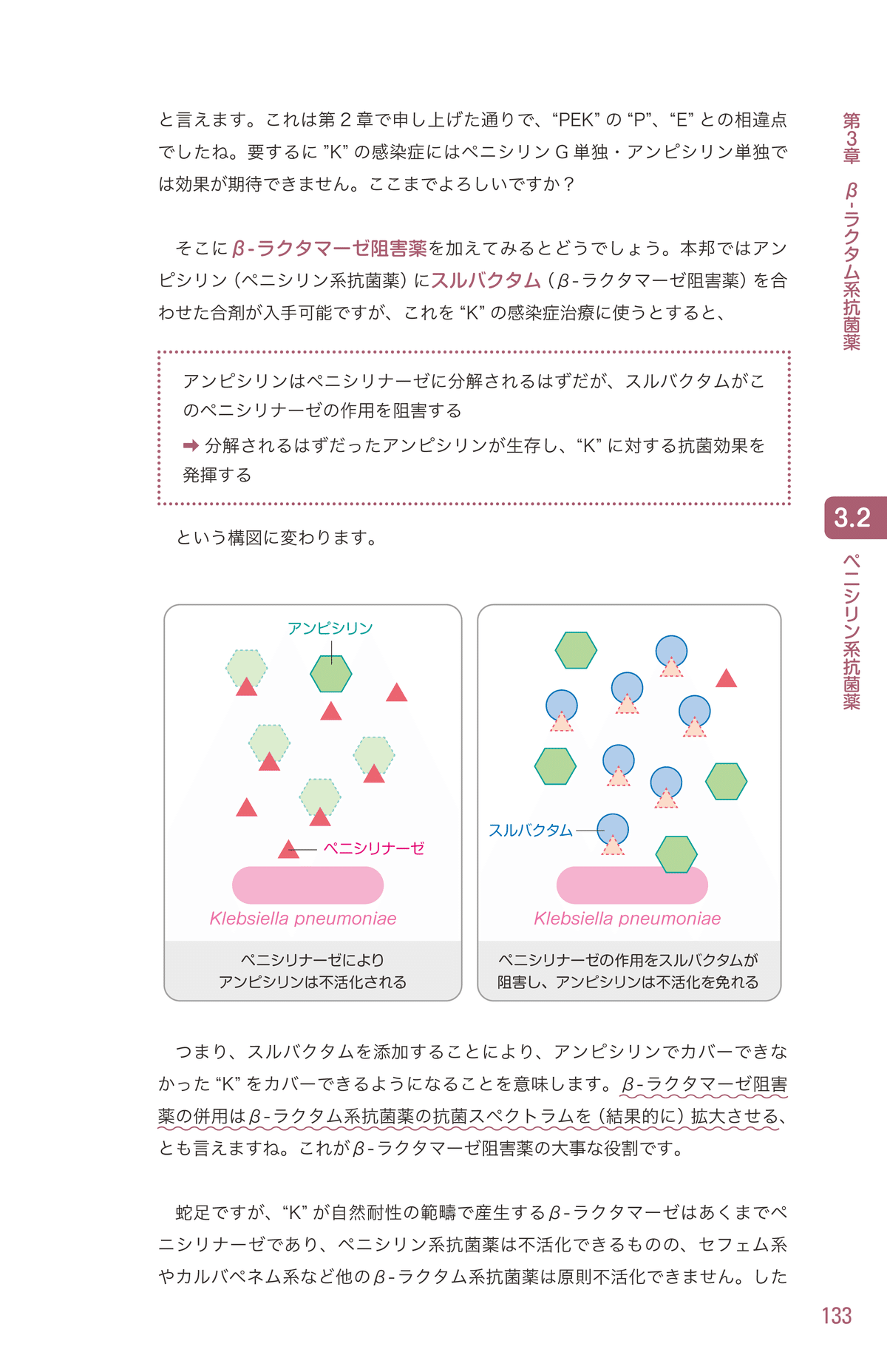 レジデントのためのこれだけ抗菌薬　理論から攻める合格点の感染症診療 レジデントのための これだけ抗菌薬【電子版付】 | 髙野 哲史