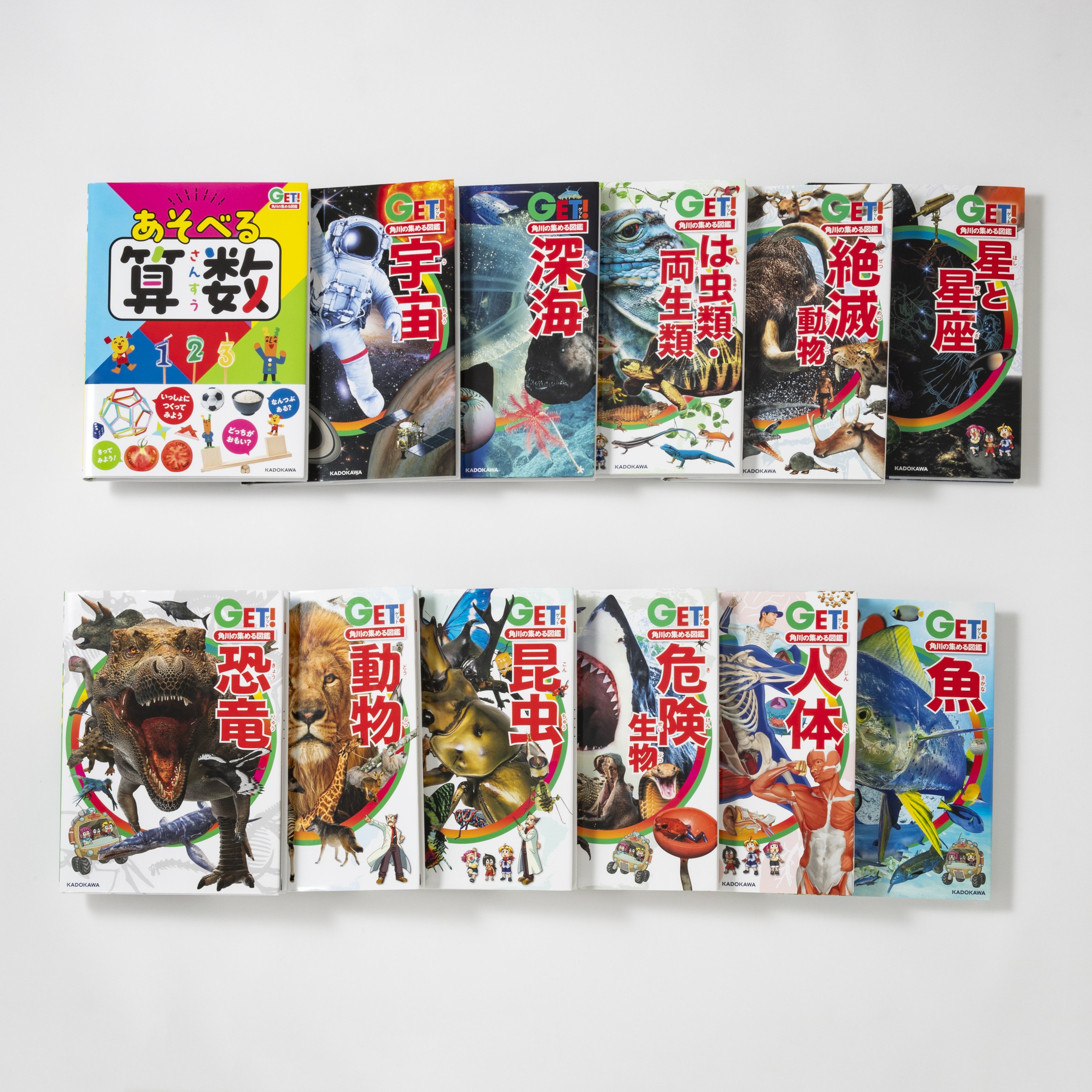 探訪日本の庭 全12巻セット（別冊2巻を含む） 古書古本Totodo：日本の庭（伊藤ていじ 岩宮武二 亀倉雄策 中央