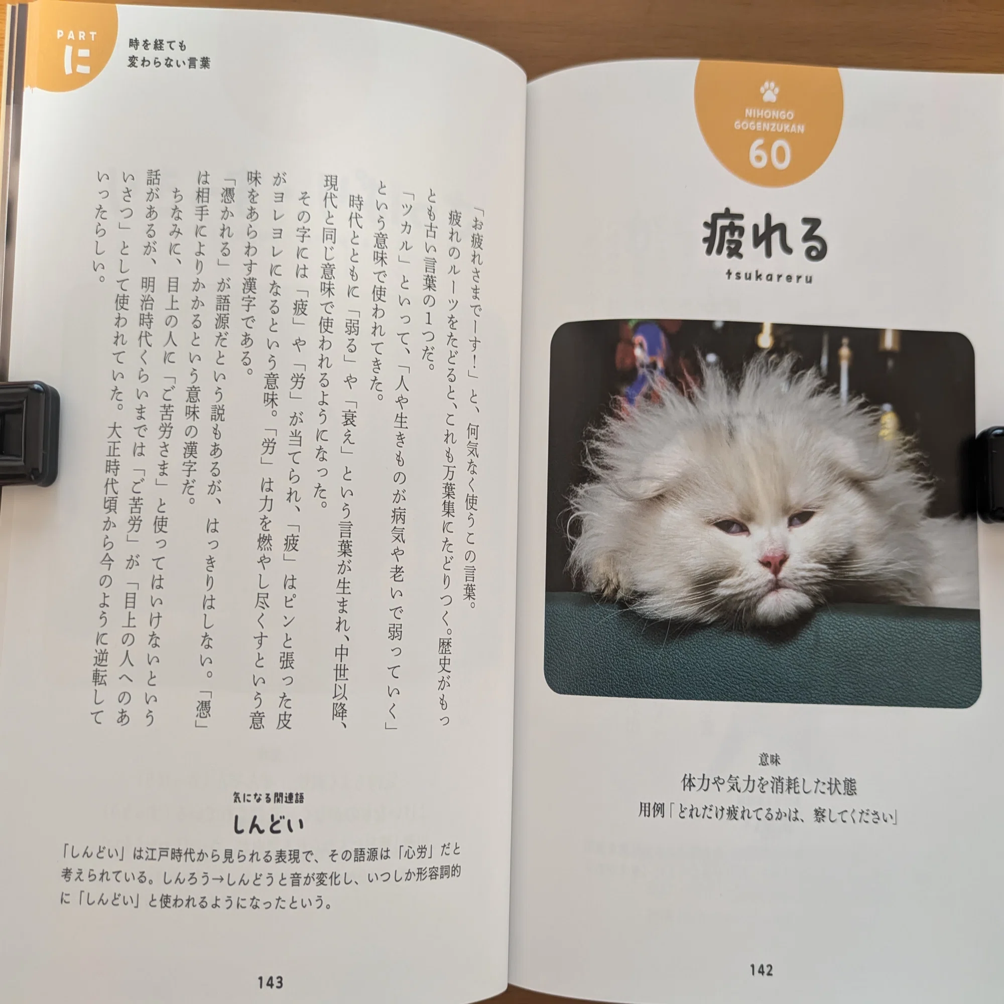 ネコ 語源