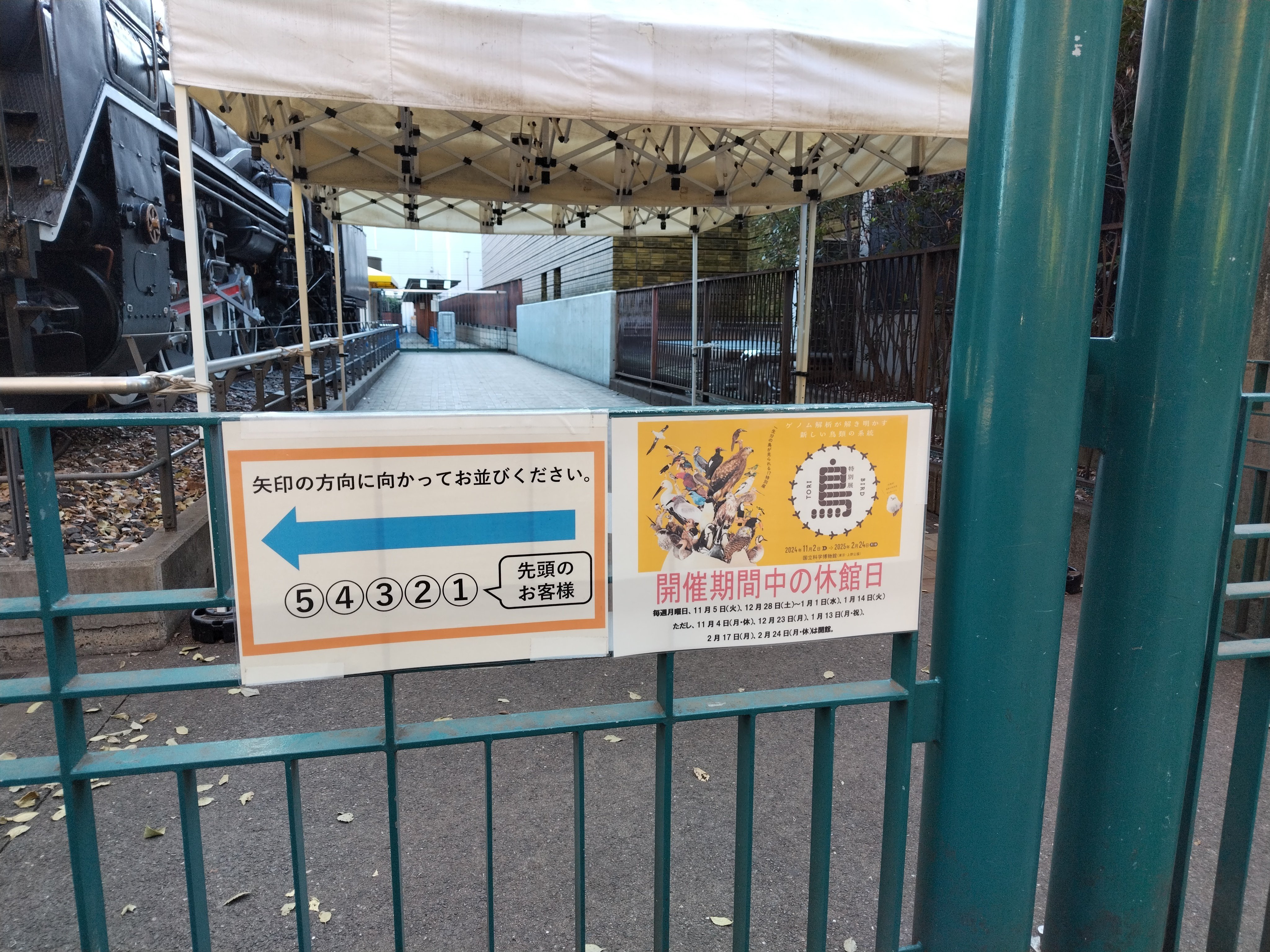 ☆超希少☆山鳥の剥製 科博 特別展 《 鳥 TORI 》へ行きました-02。｜michio