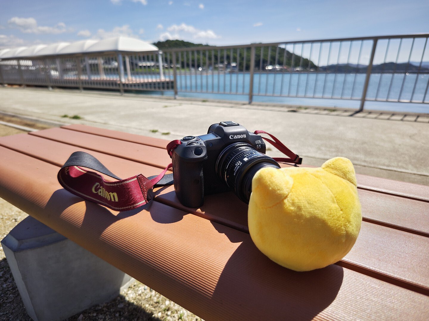 mayuriとレンズぬま *第二十二本* Nikon Ai AF Nikkor 24mm F2