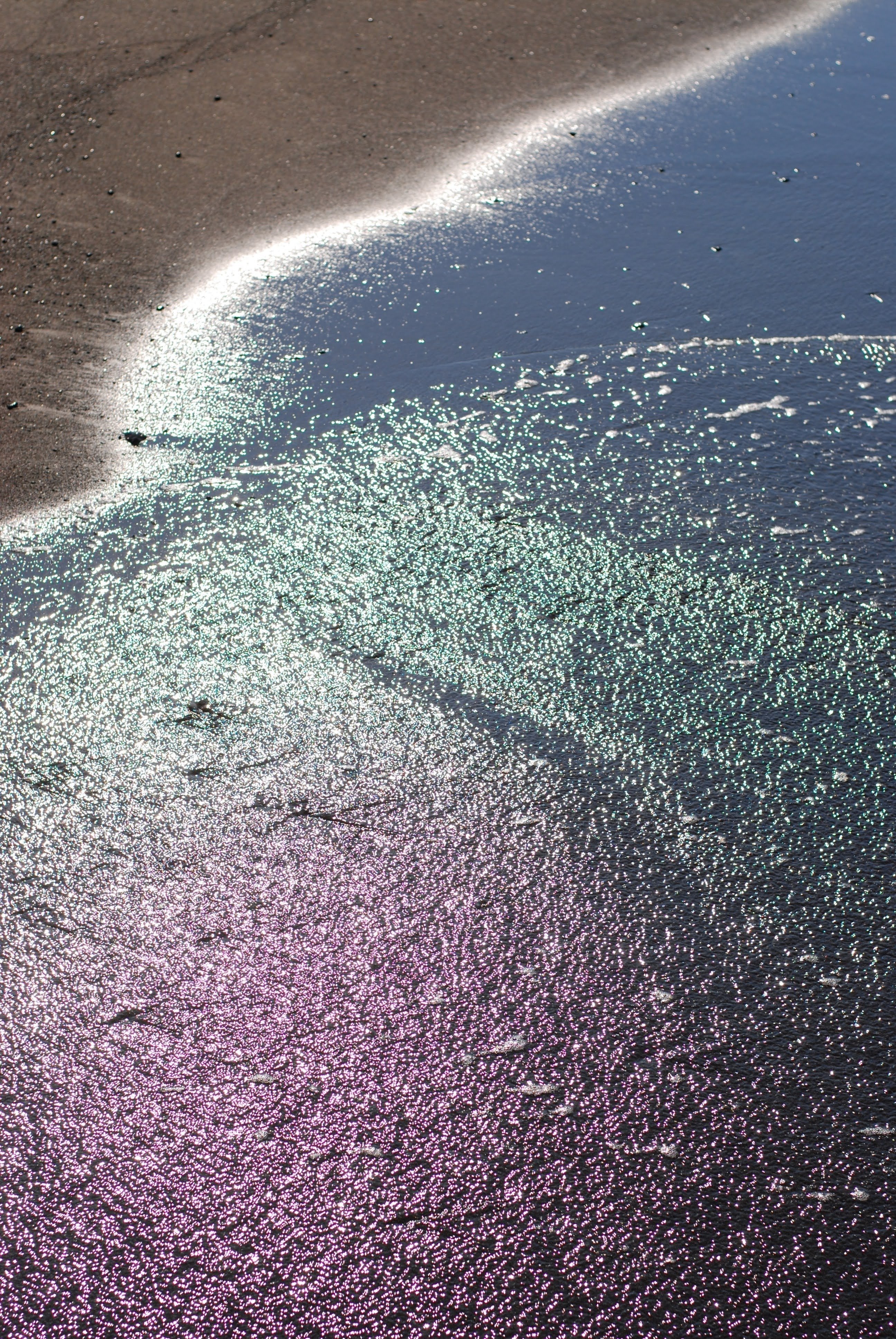 愛カメラ遍歴Vol.2 ：Nikon D80 ～生まれて初めての一眼レフ～｜Tarciel