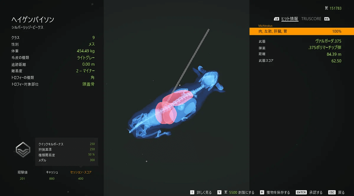 the Hunter CotWで新規プレイヤーでも使いやすい(かった)武器