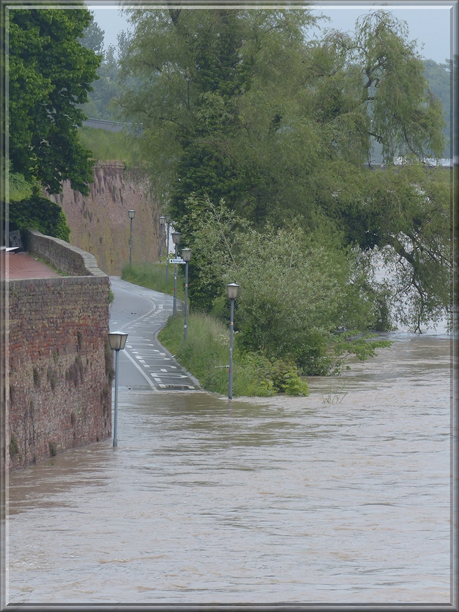 ショクノロジー「ビール津波大洪水」｜ジョー「鏡面反射のデジタル