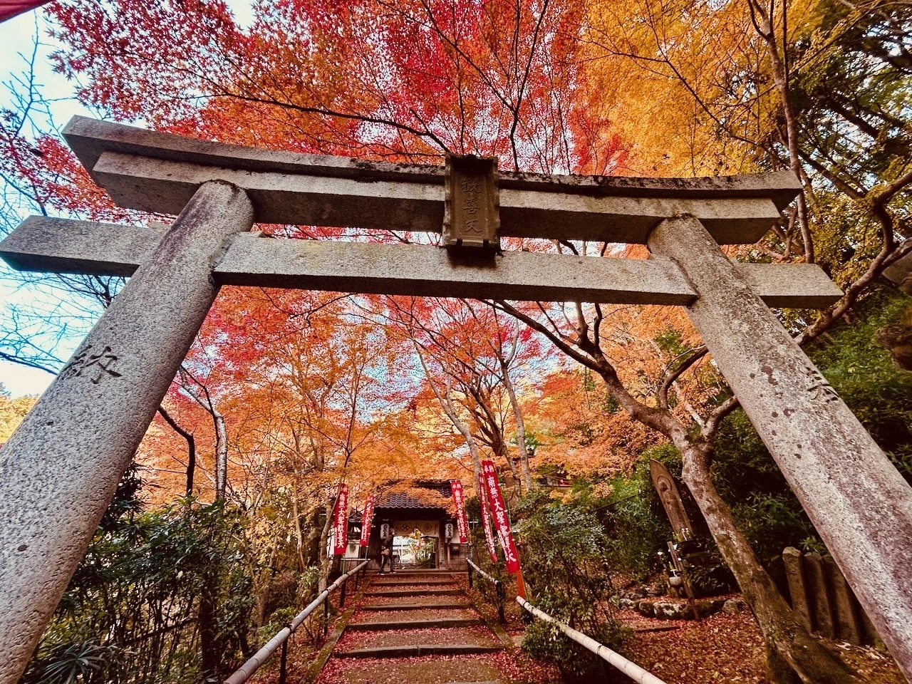 紅葉の毘沙門堂・大文字山・永観堂・南禅寺を歩く｜KURI
