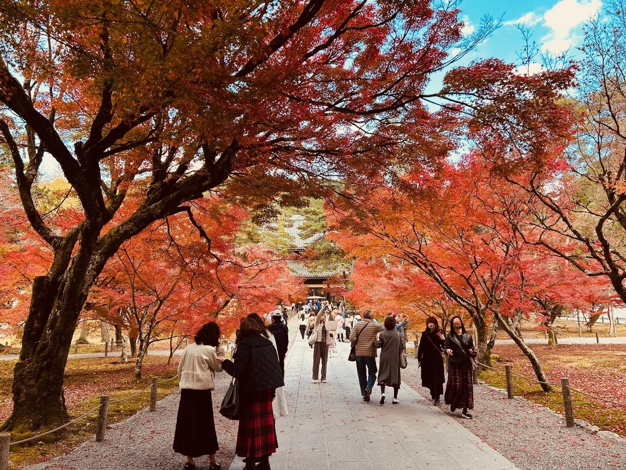紅葉の毘沙門堂・大文字山・永観堂・南禅寺を歩く｜KURI