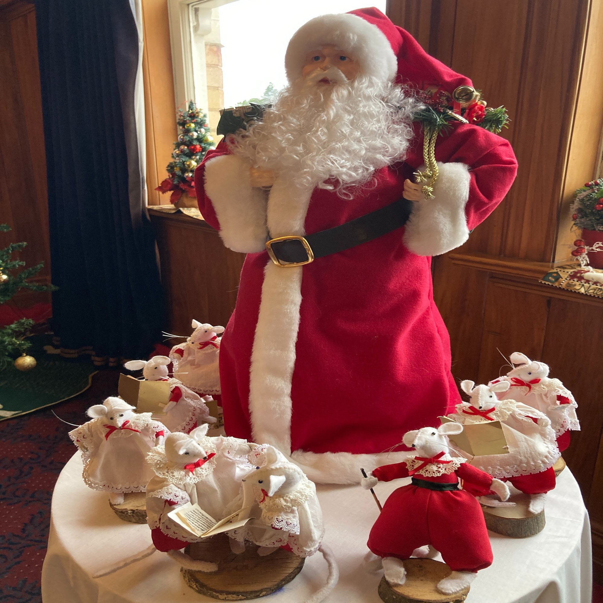 海外生活日記：🎄⛪🎄Kiwi Christmas! 🎄🎅🎄｜Il fantasma di  Venezia（イル・ファンタスマ・ディ・ヴェネツィア）, image size:1500x2000