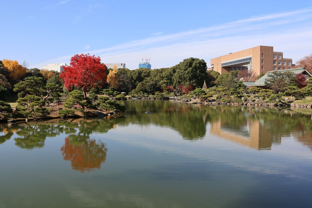 JC圓光 師走の空のもと、清澄庭園の紅葉をめぐる|ほんのひととき