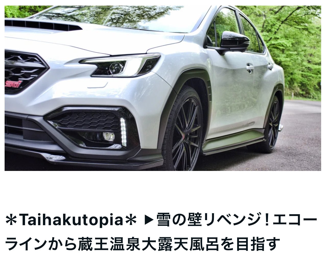 鉄鍔、鉄地に波に雲に乗る仙人？