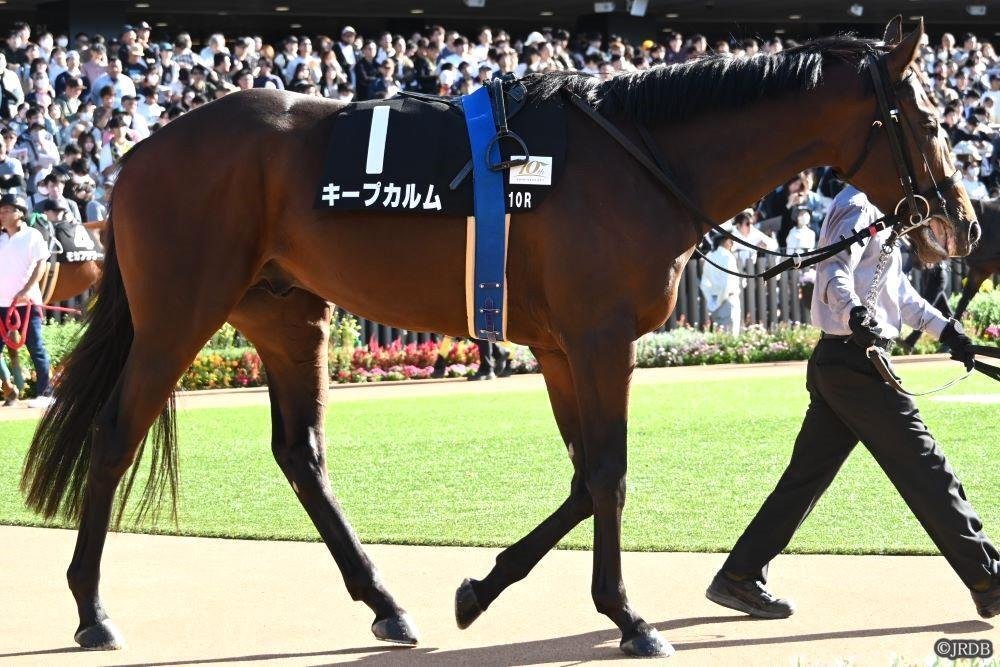 【北米競馬】レーンズエンドファーム 2021スタリオンブック 北米競馬】レーンズエンドファーム 2021スタリオンブック 2025超