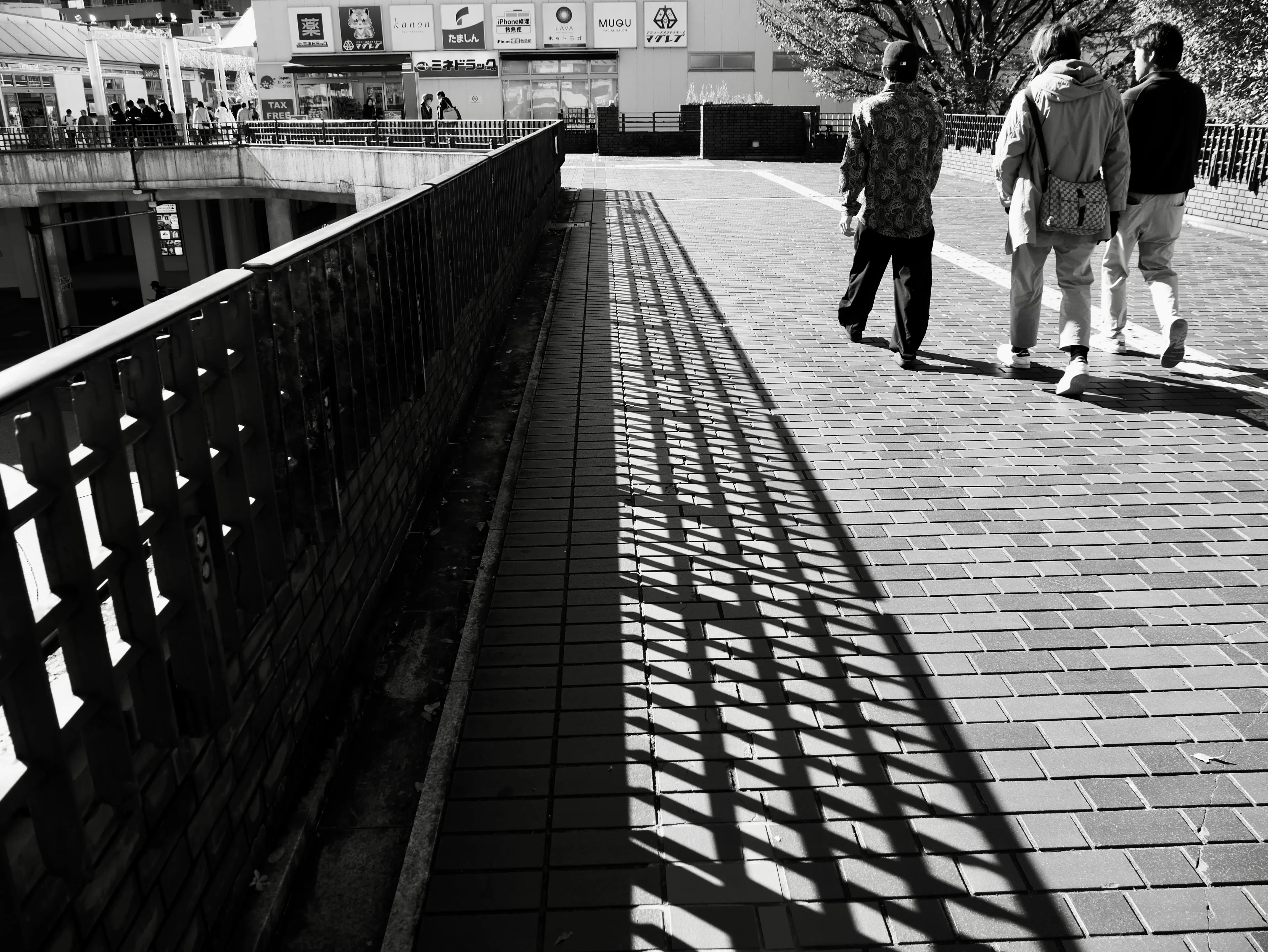 Lumix GX7mk2とLUMIX G VARIO 14-140mmレンズで楽しむ写真の世界｜もと