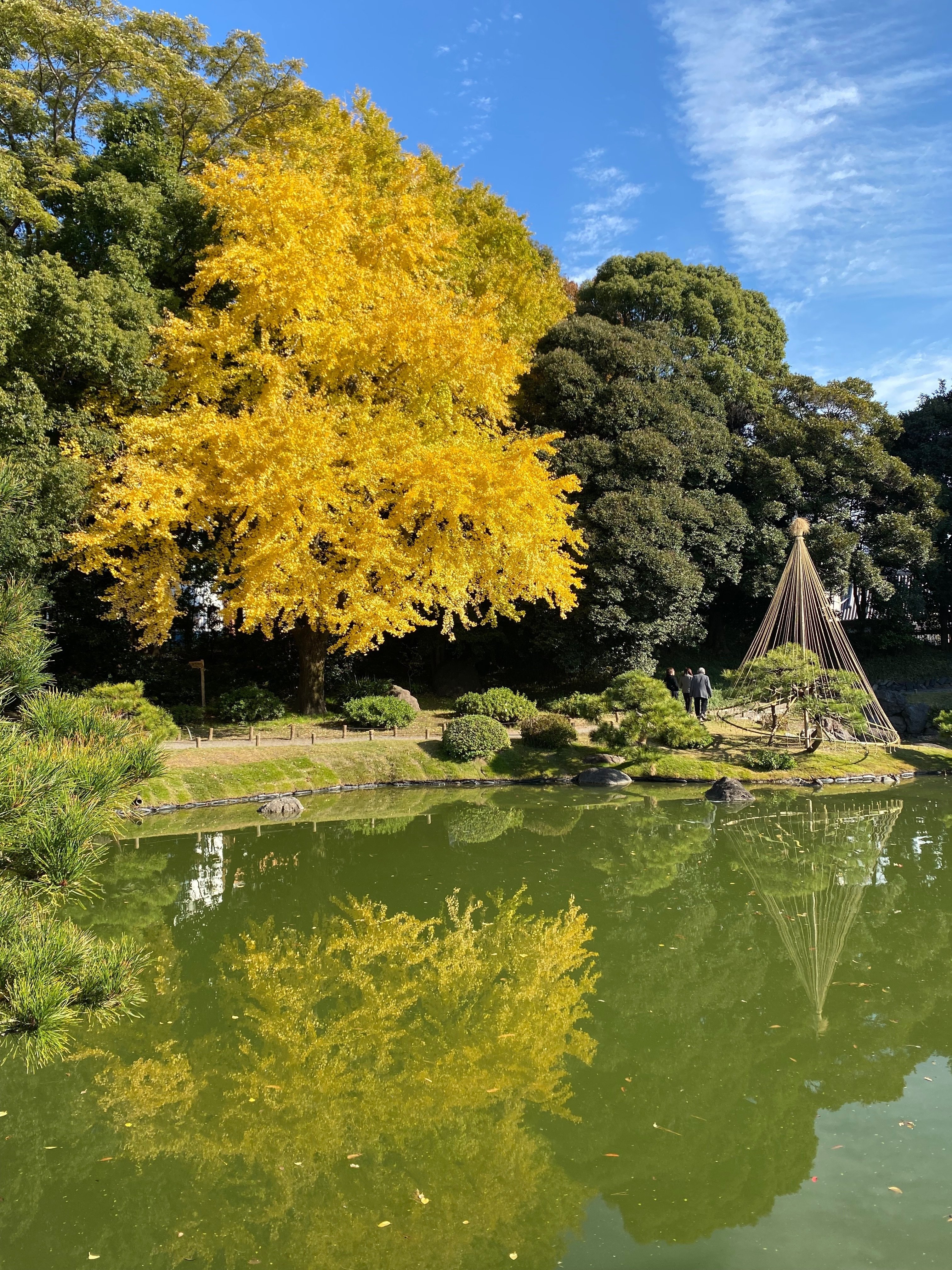 師走の空のもと、清澄庭園の紅葉をめぐる｜ほんのひととき