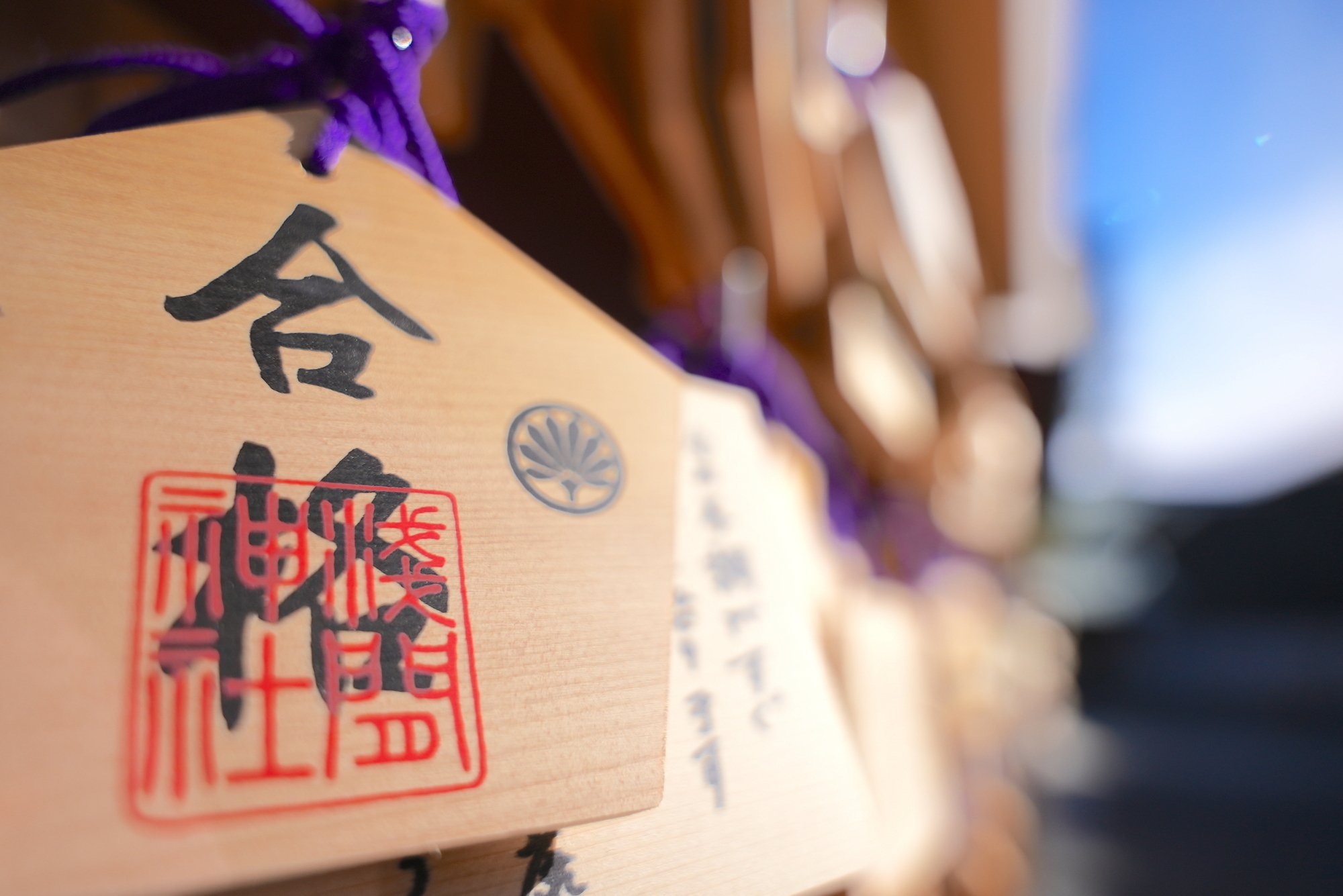 ジャック幼児教育研究所】小学校受験2025年度 合格速報分析（11月30