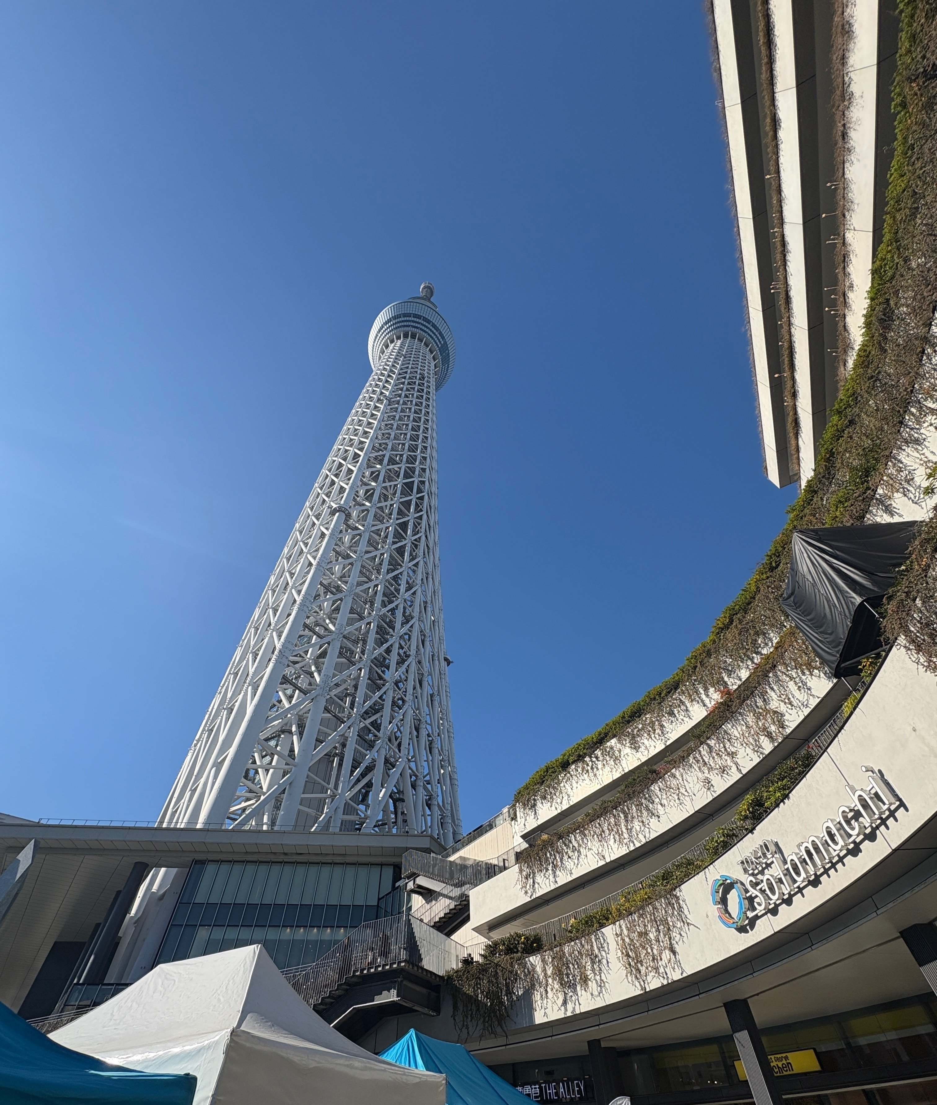 ぽこピーナノブロックを勝手に増やす。｜ikura18