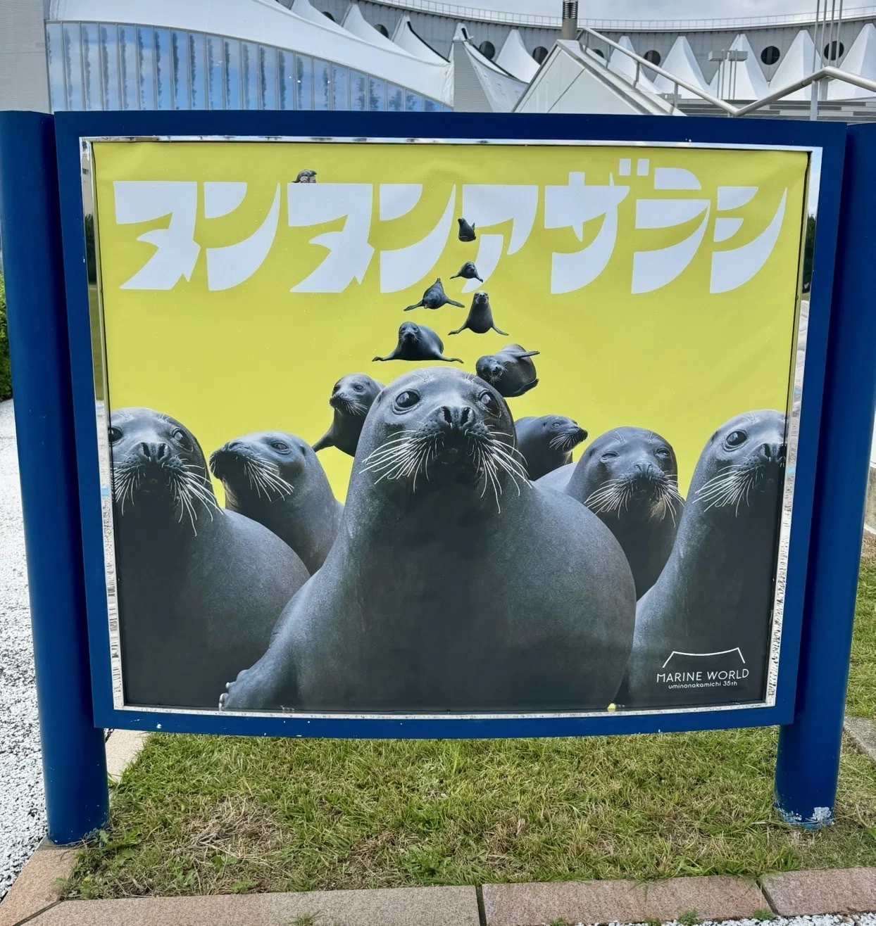日本のアザラシ探訪記②マリンワールド海の中道・箱根園水族館｜ヒロサキ