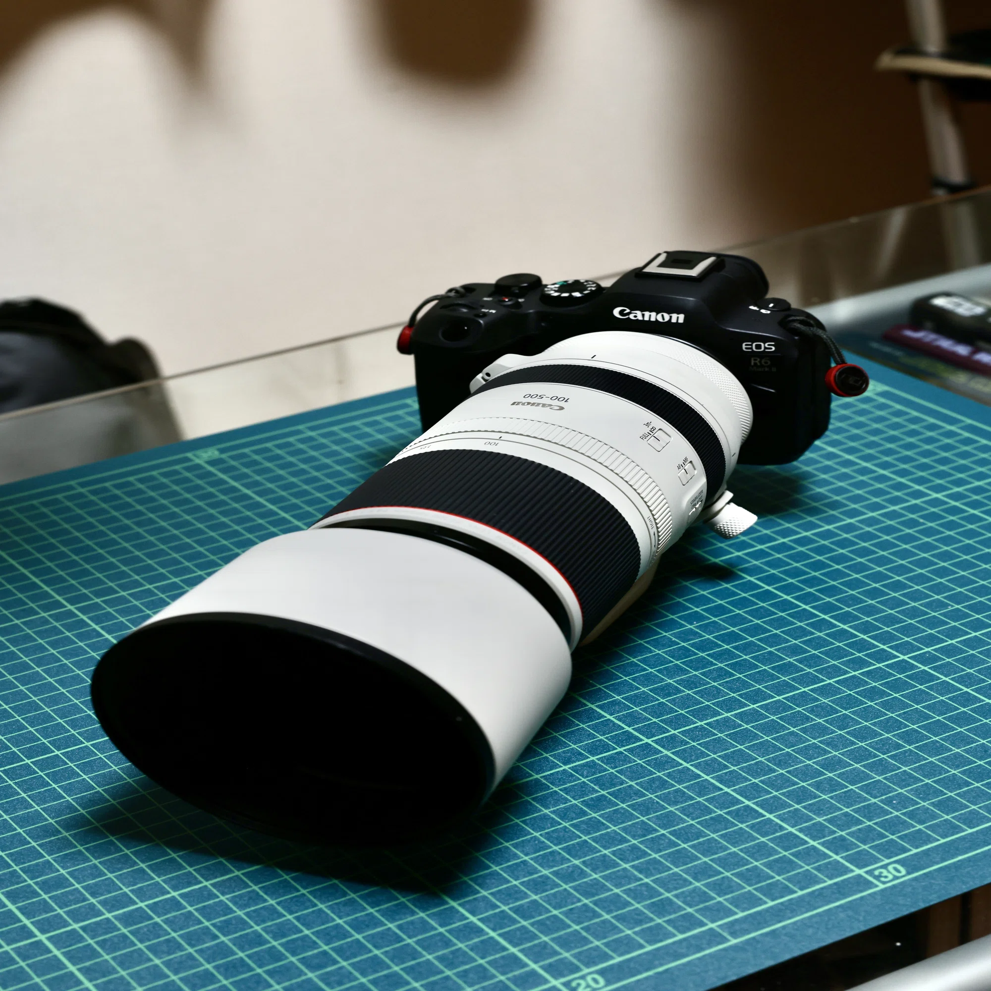 RF100-500/4.5-7.1Lを使ってみた話｜ナックルヘッド / GoPro 
