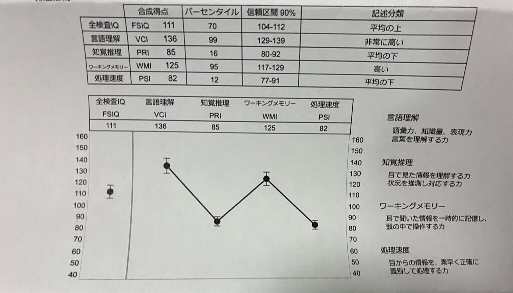 興味本位でWAIS-Ⅳを受けてきた｜睦月