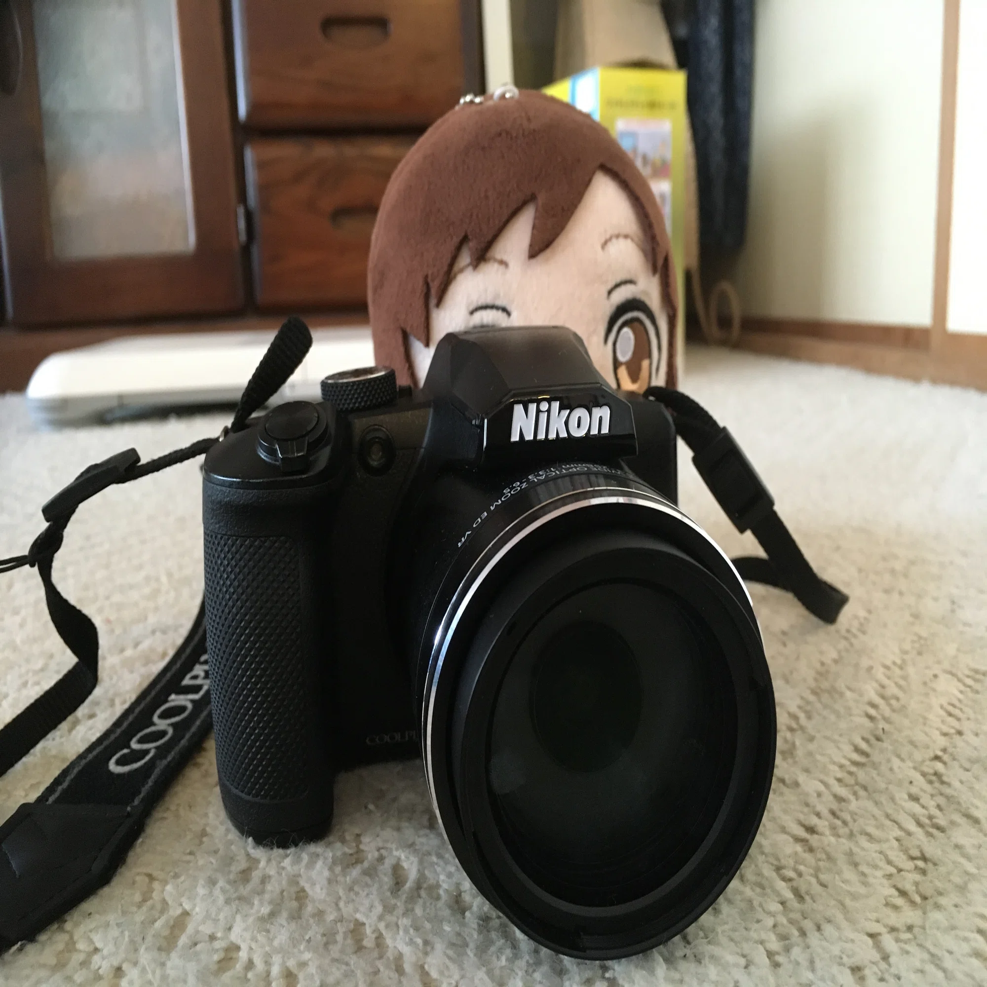 Nikon COOLPIX B600を使って感じたメリットとデメリット｜kagura