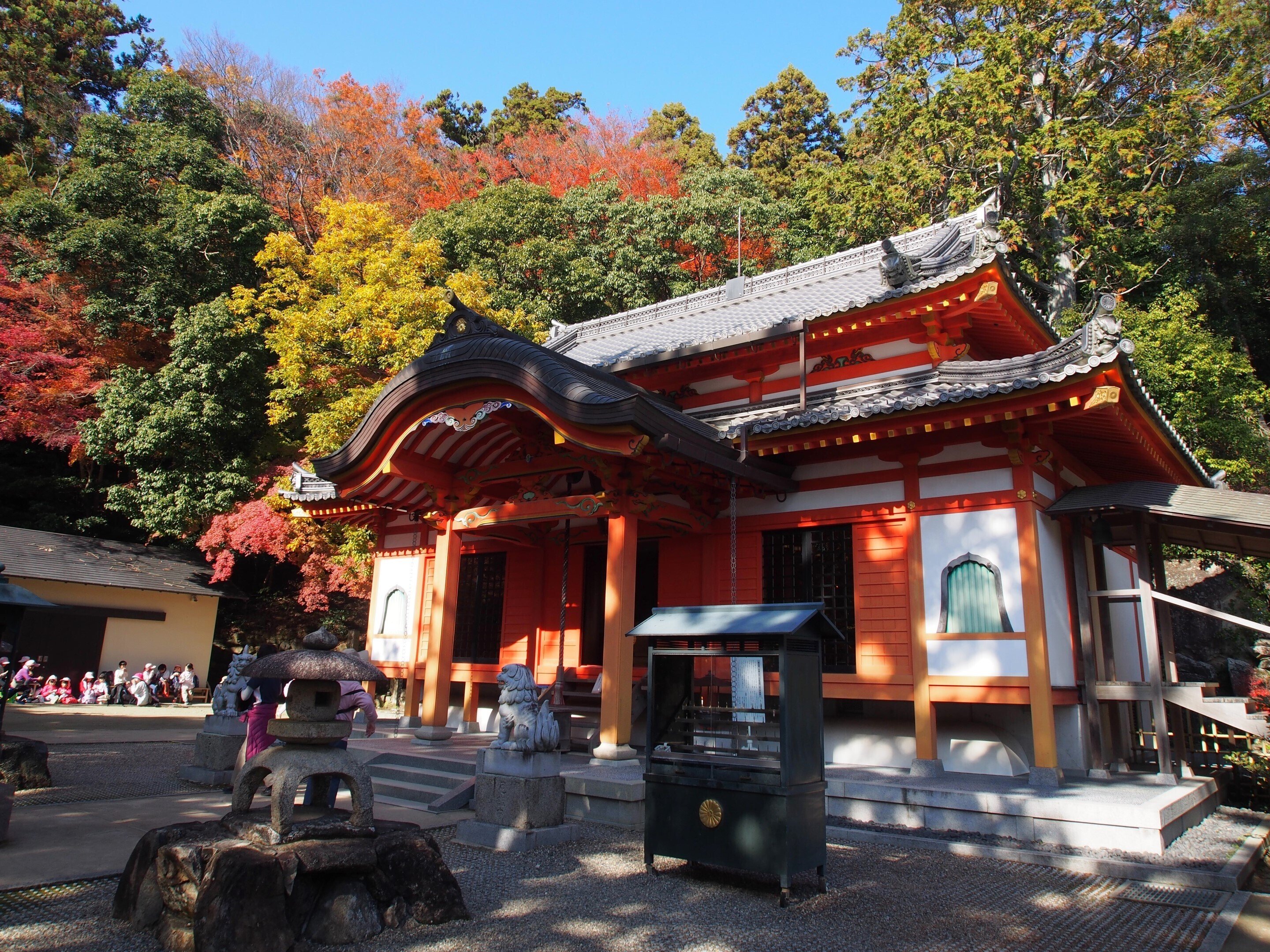 宝塚市 中山寺奥之院2024年12月2日【イチョウ,紅葉】|レタス 宝塚市 中山寺奥之院2024年12月2日【イチョウ,紅葉】|レタス