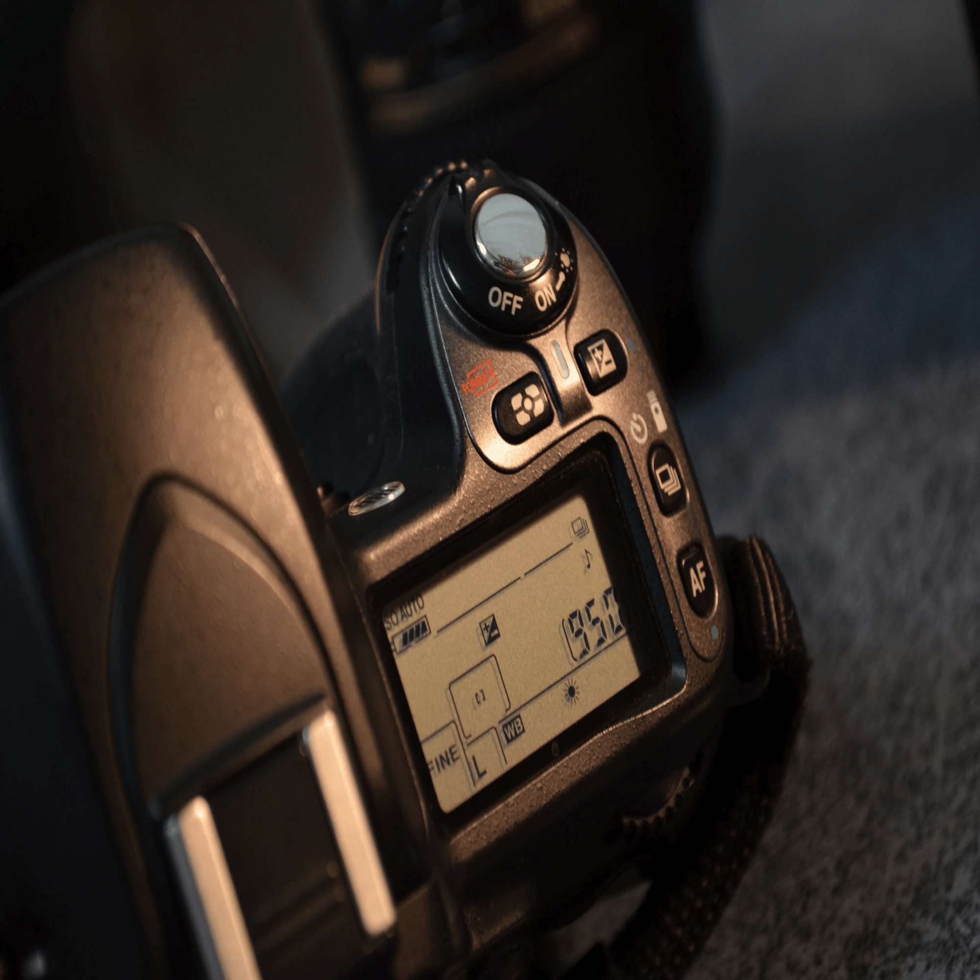 愛カメラ遍歴Vol.2 ：Nikon D80 ～生まれて初めての一眼レフ～｜Tarciel