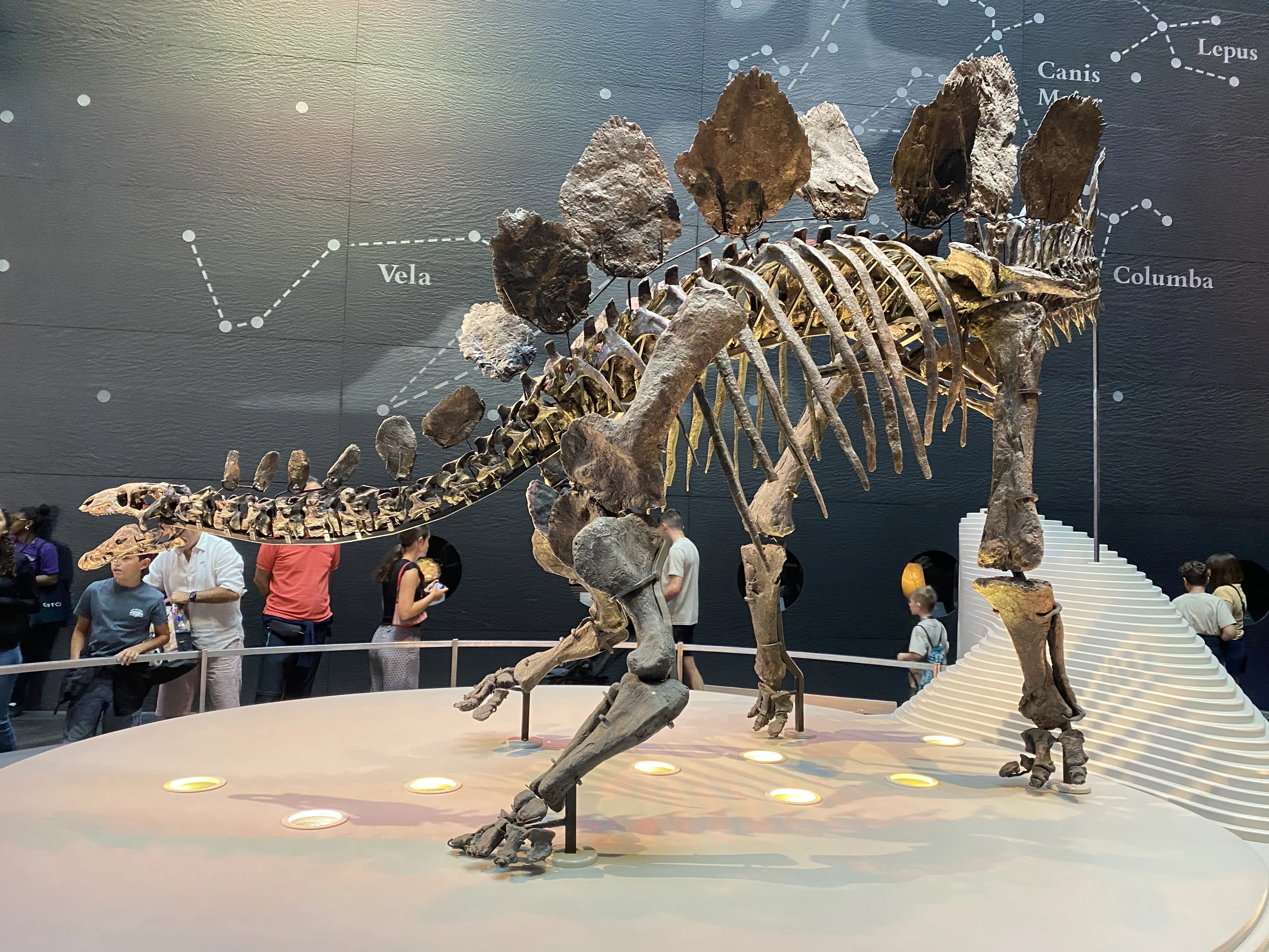 ロンドン自然史博物館(National History Museum)｜ABYSS