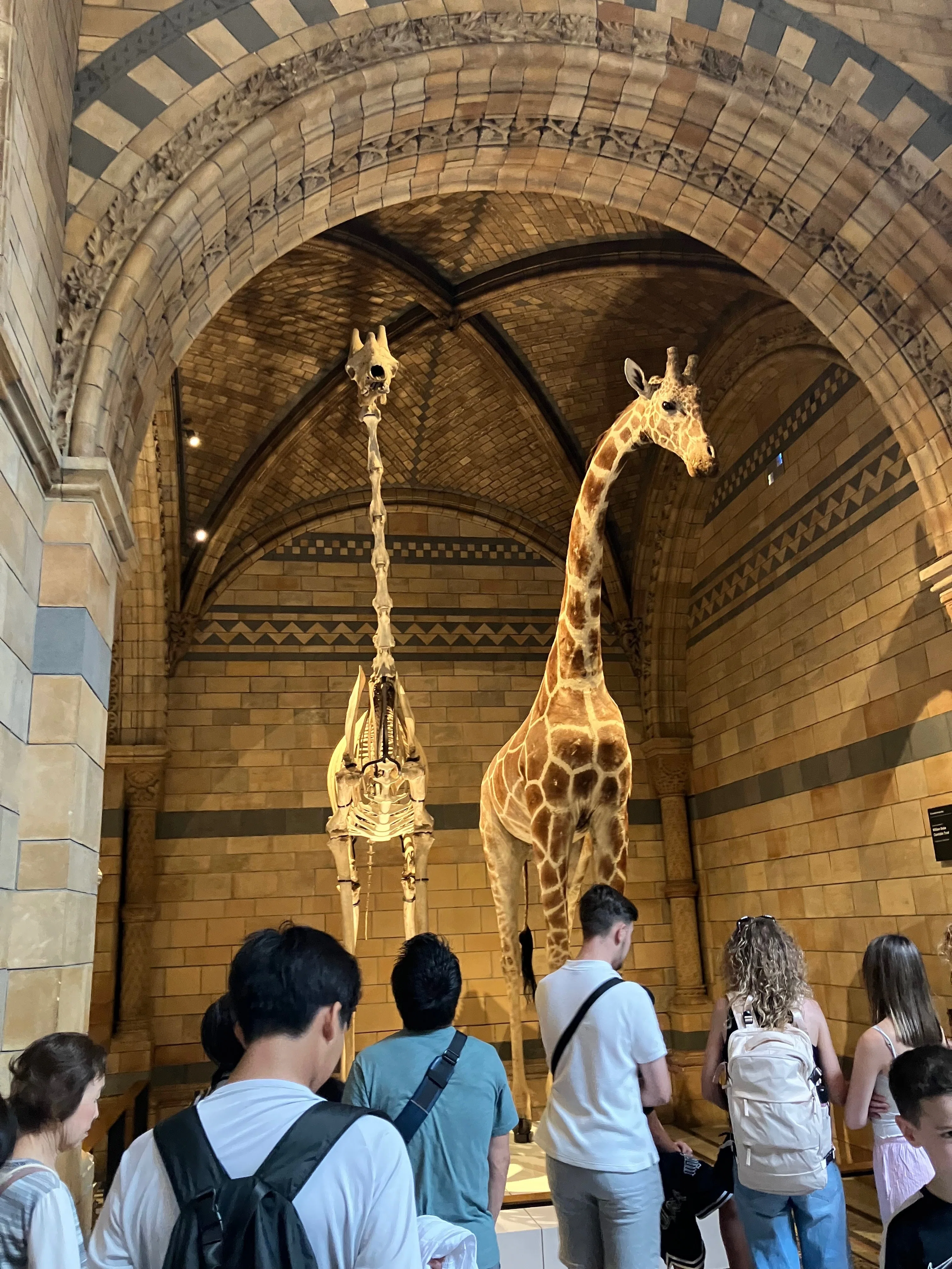 ロンドン自然史博物館(National History Museum)｜ABYSS