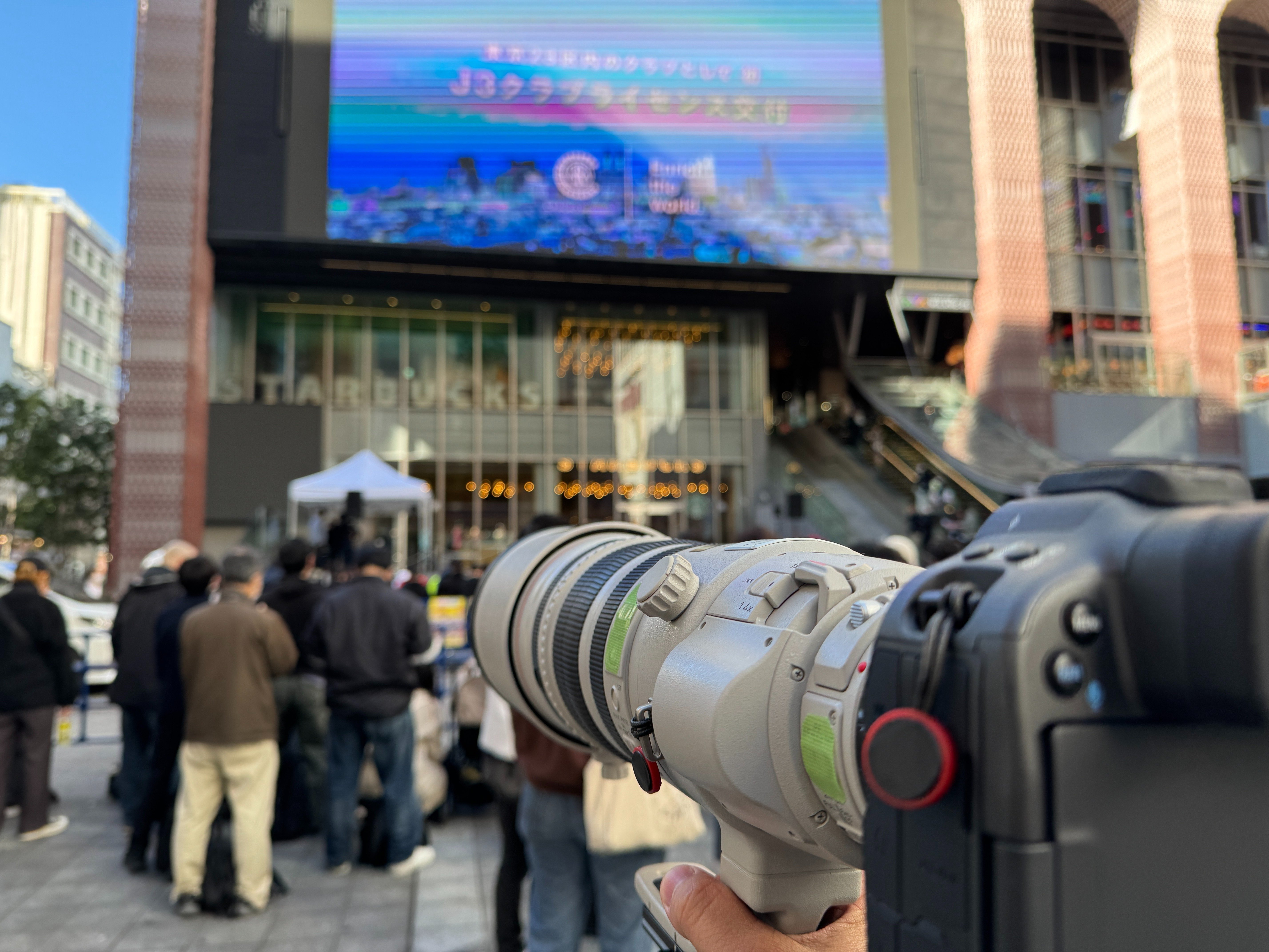 しおん s-l400.jpg