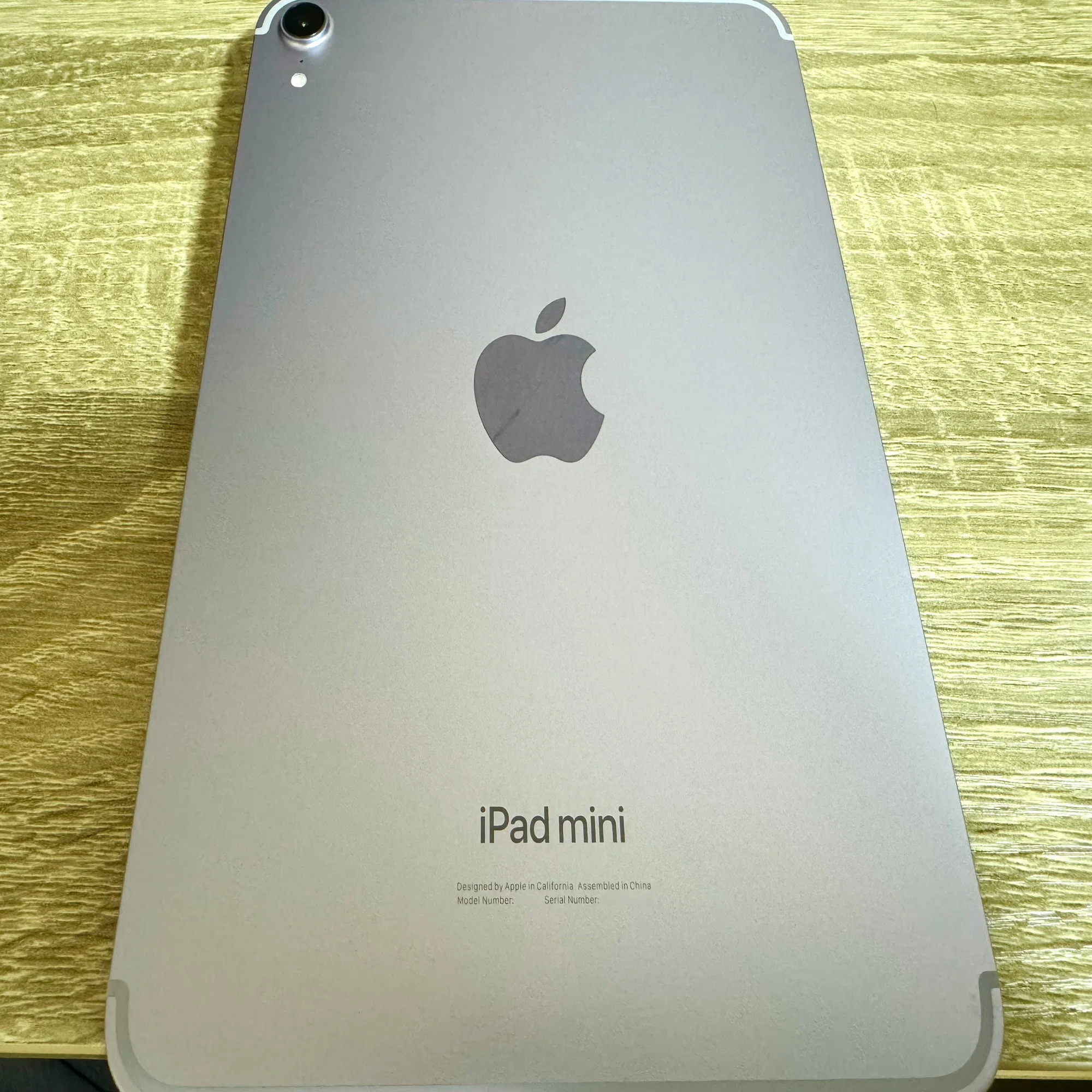 iPad mini (A17 Pro)を買ってしまった。。。1週間悩んで出した結論 