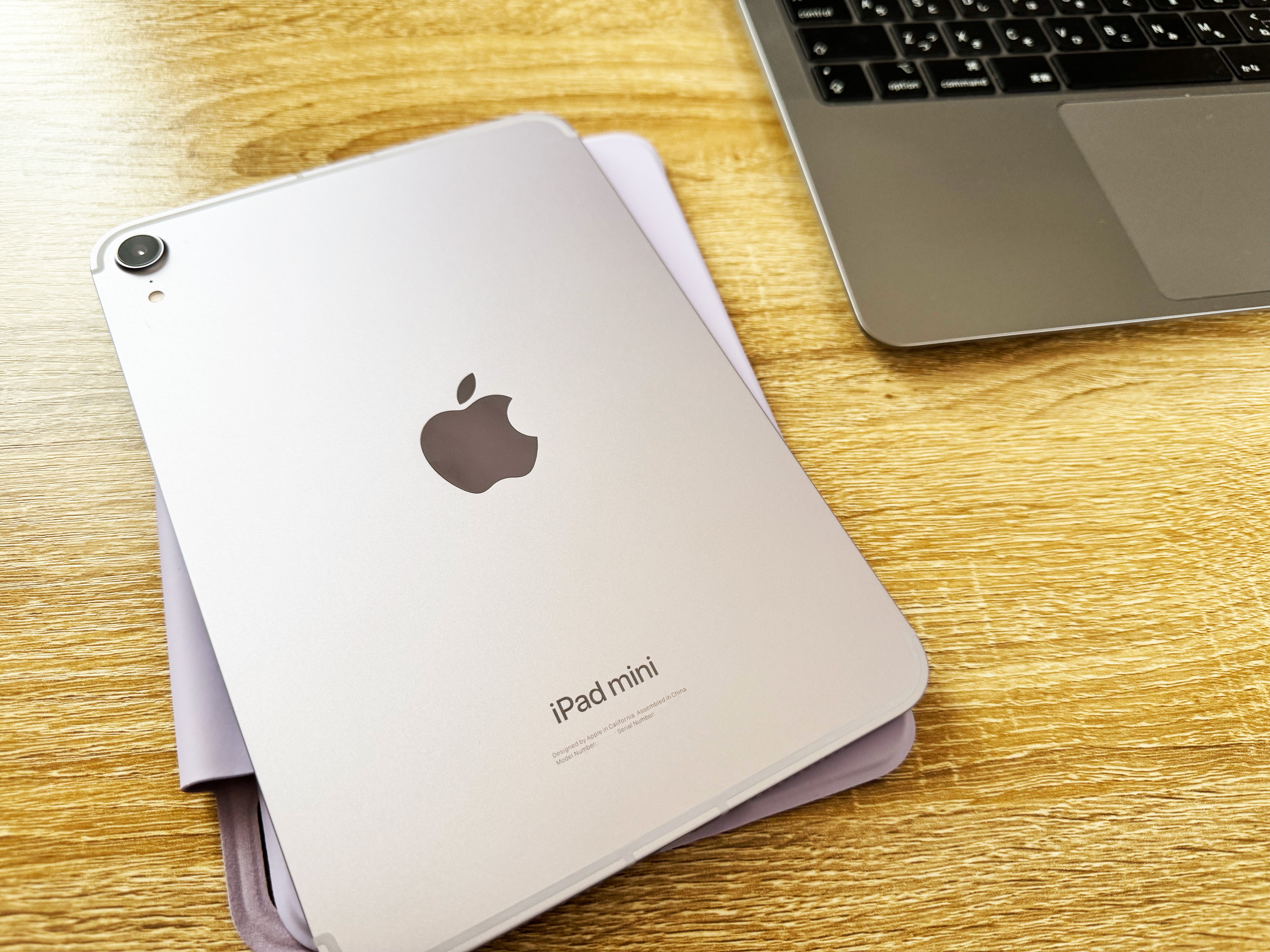 外出のお供としてのiPad mini〜出会って2週間が経ちました。｜Ki