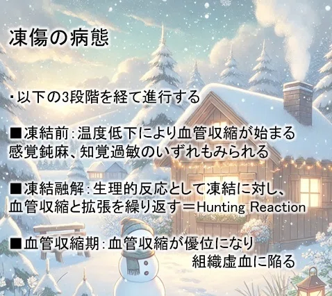 【本日のTips】凍傷の病態|Dr.さいころのメモ帳